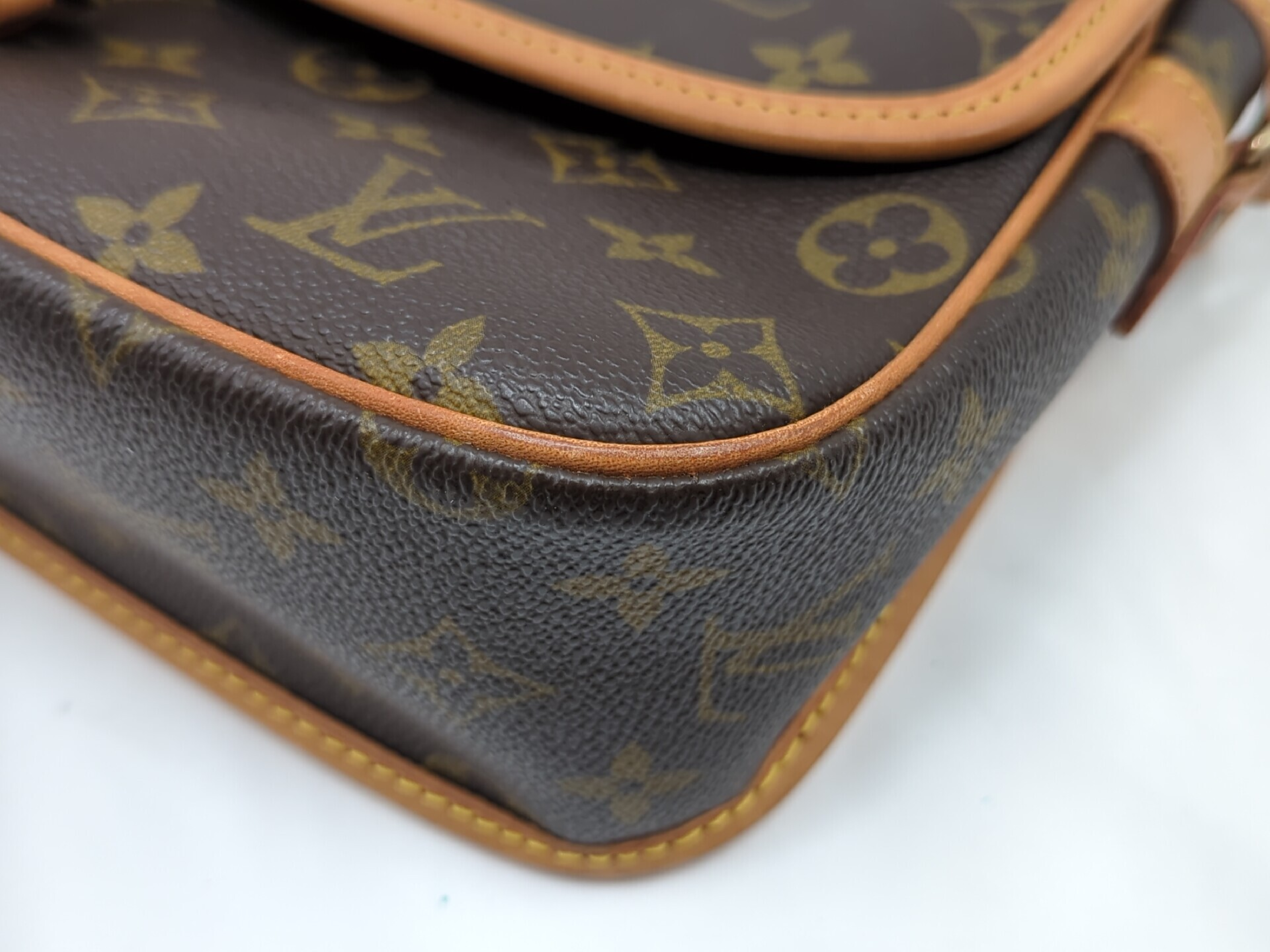 M42250 Monogram Sologne Shoulder Bag — view 4