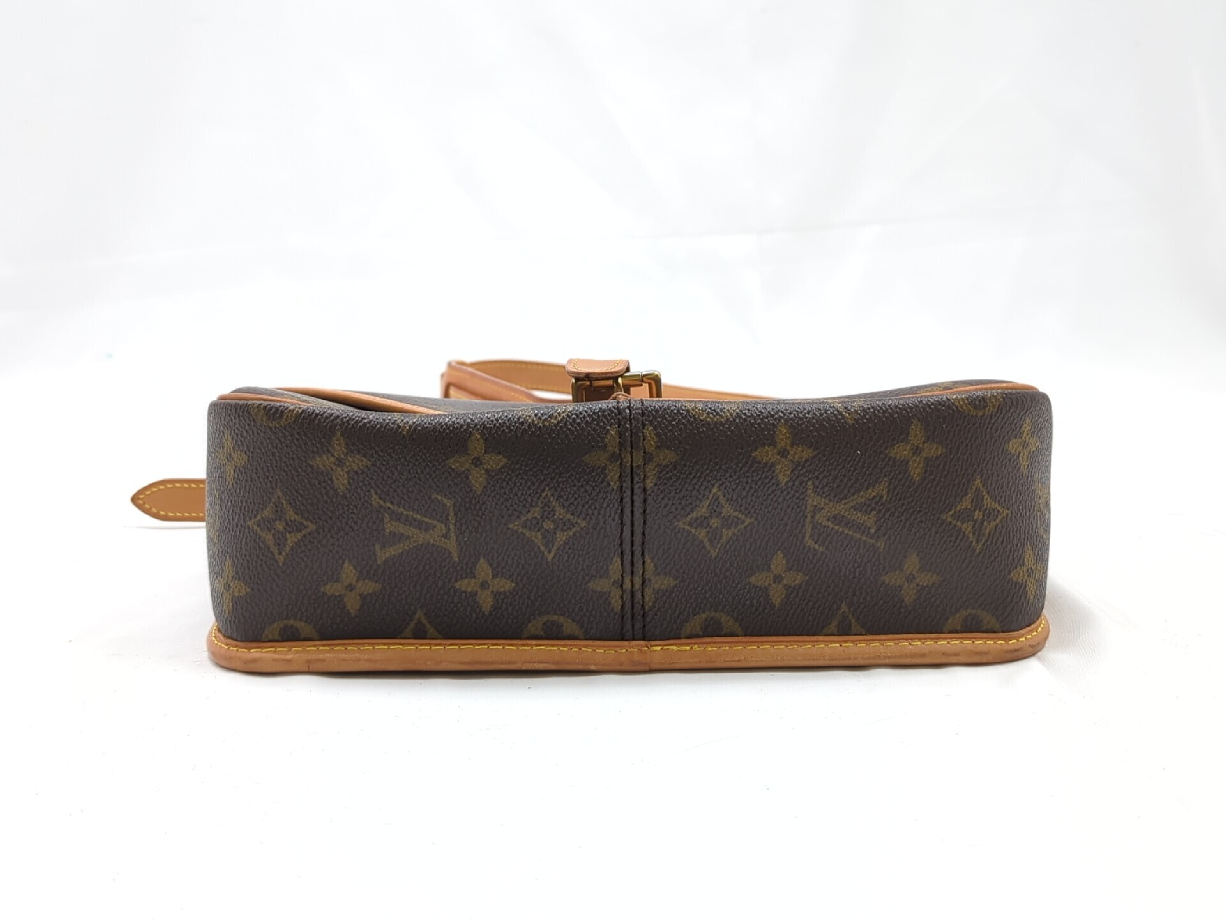 M42250 Monogram Sologne Shoulder Bag — view 5