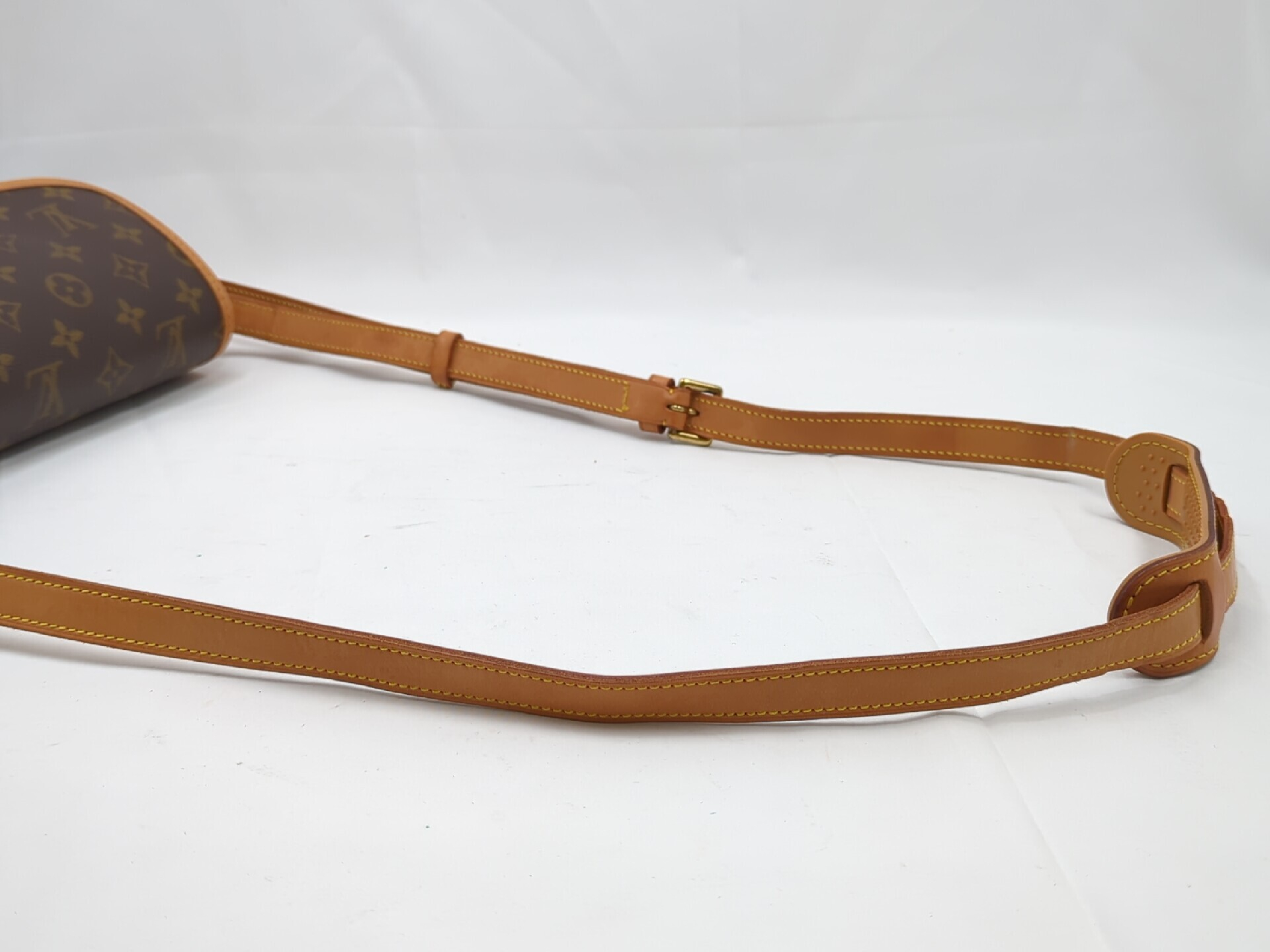 M42250 Monogram Sologne Shoulder Bag — view 6