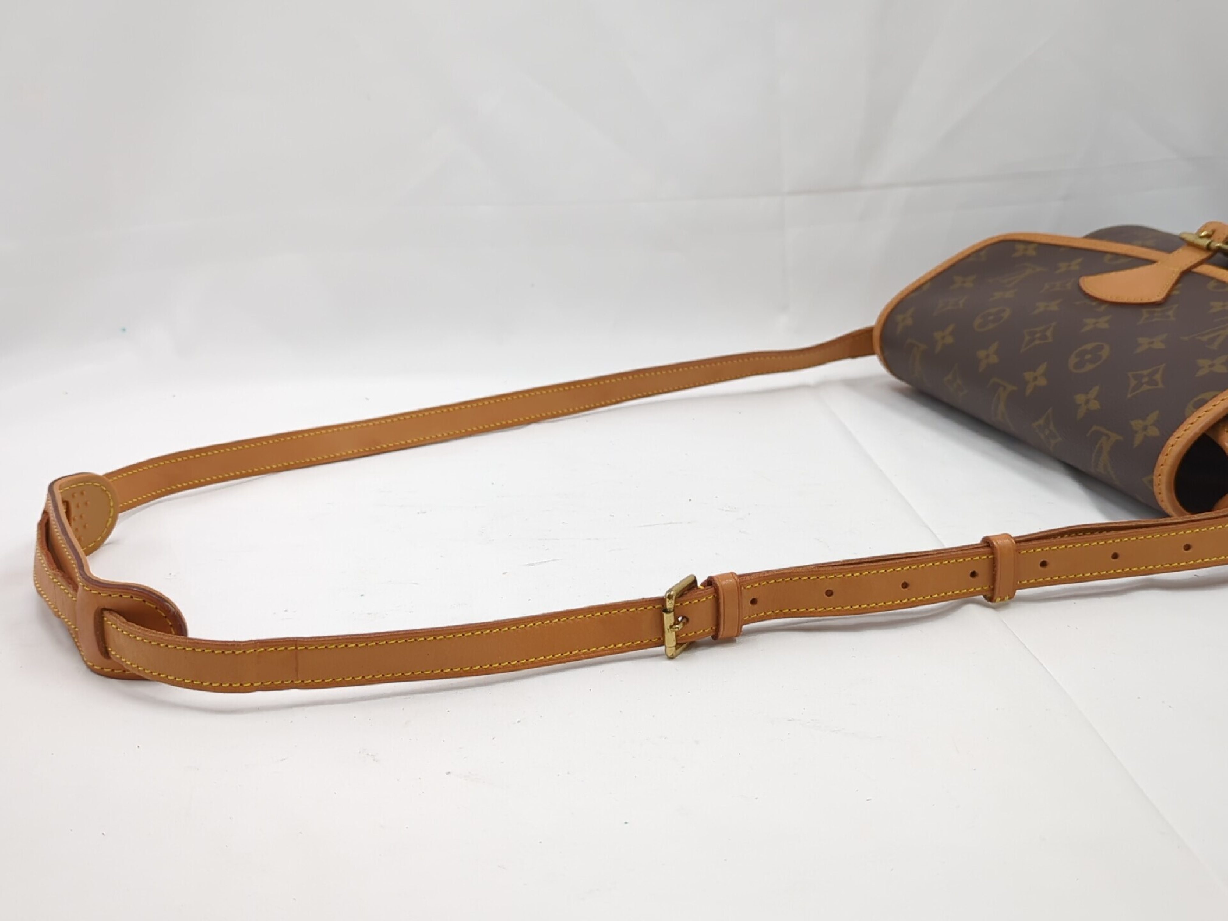 M42250 Monogram Sologne Shoulder Bag — view 7