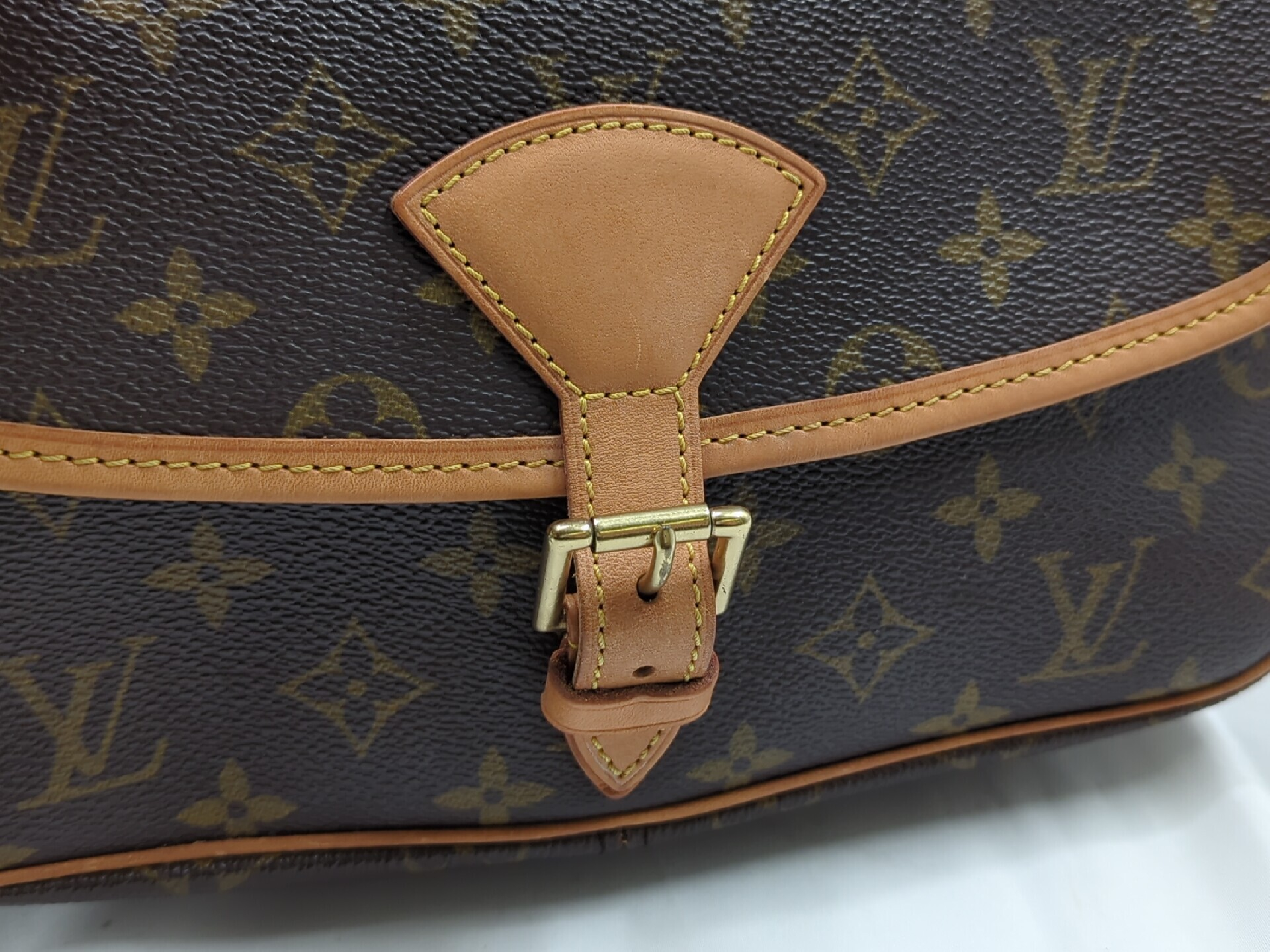 M42250 Monogram Sologne Shoulder Bag — view 9