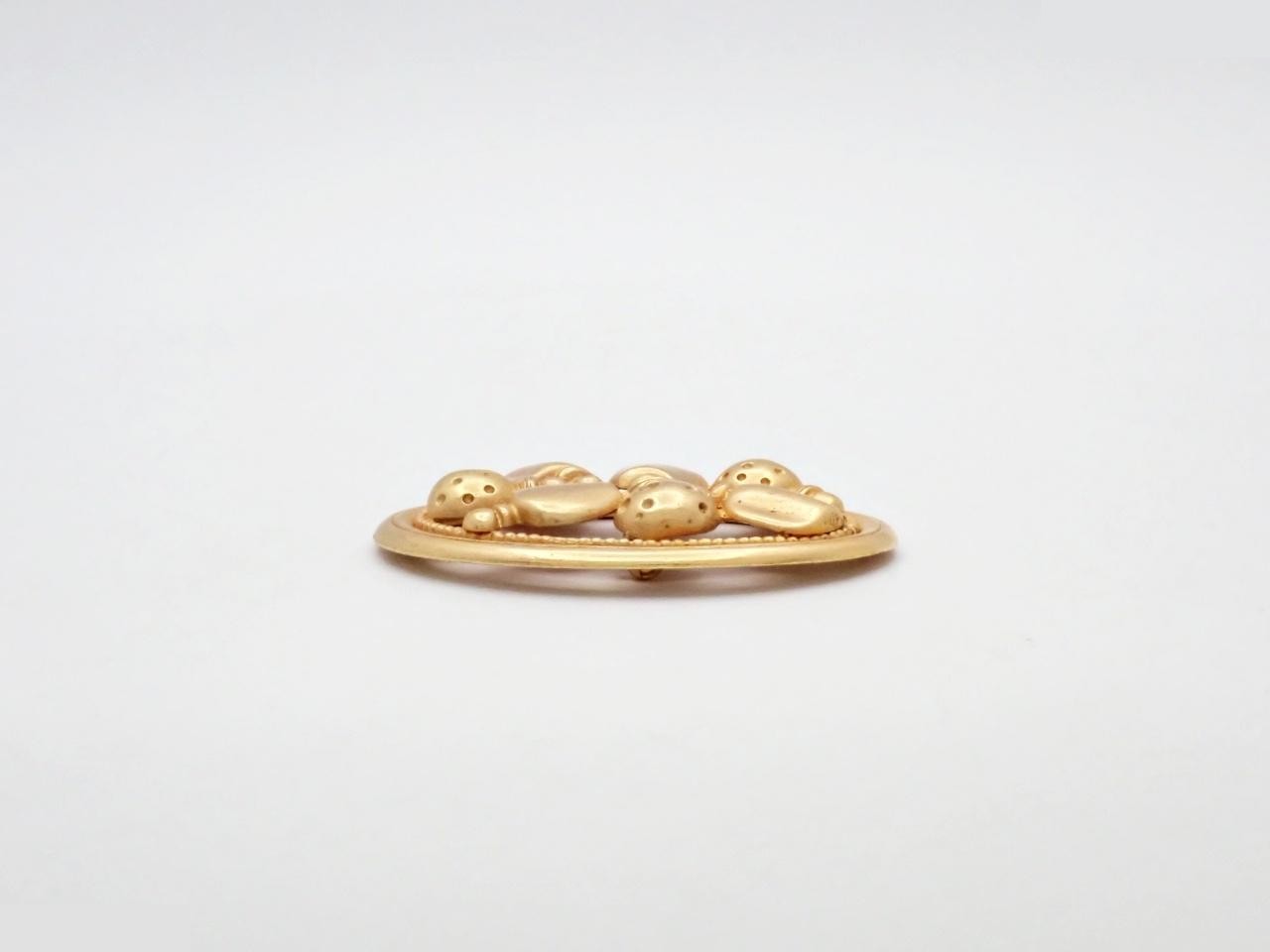Oval roach — view 3