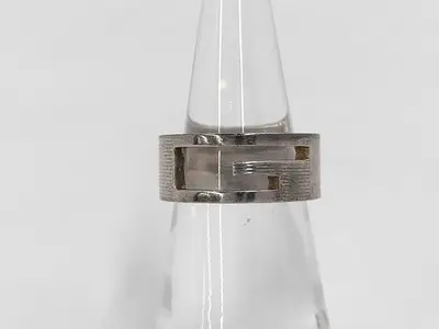 Ring / SV Ring