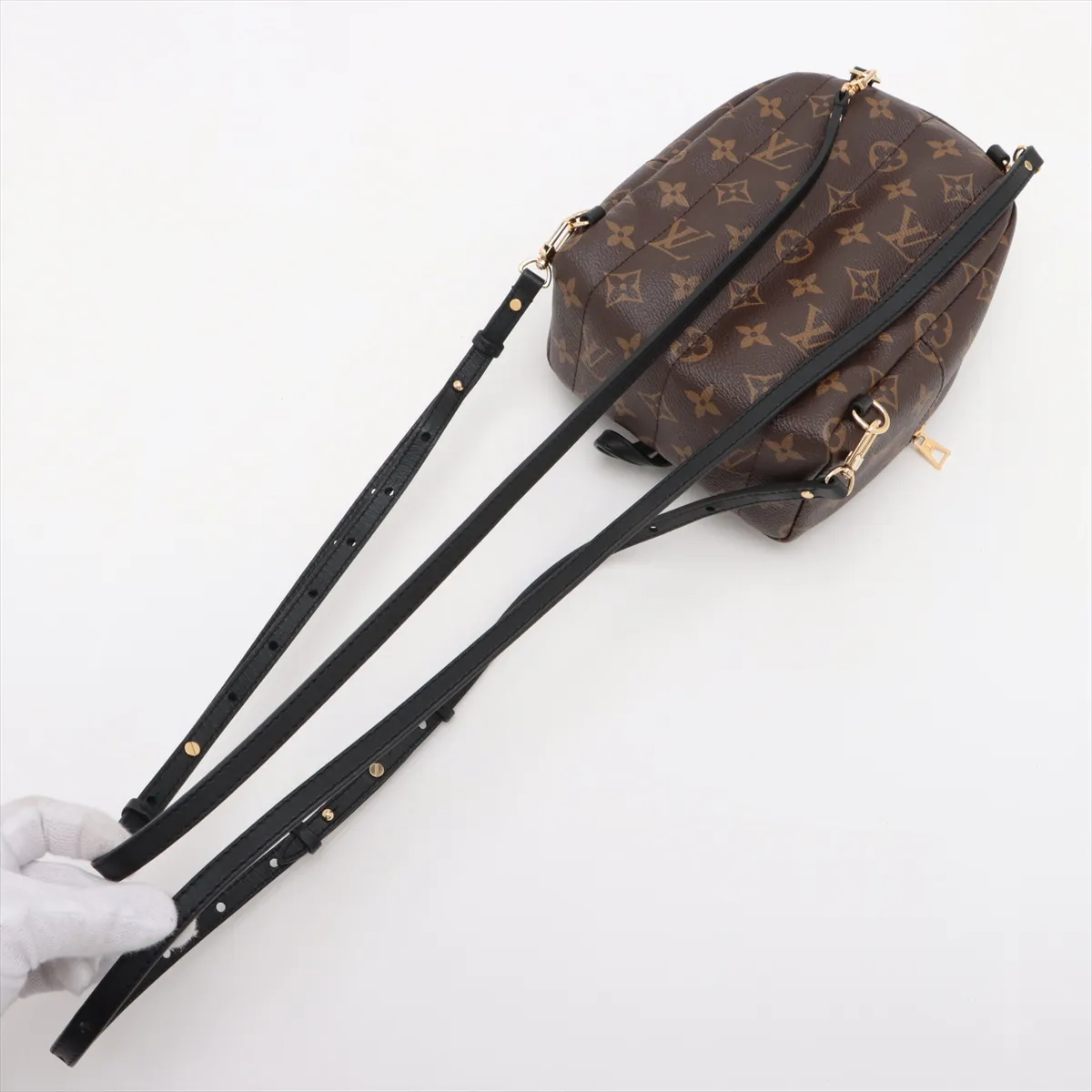 Monogram Palm Springs Backpack MINI M44873 FL2270 Brown (RFID detected) — view 5
