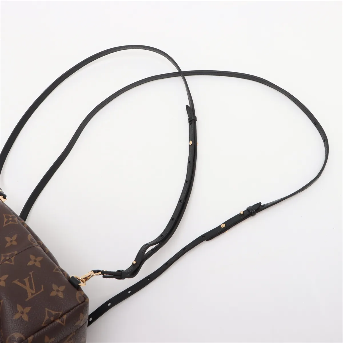 Monogram Palm Springs Backpack MINI M44873 FL2270 Brown (RFID detected) — view 6