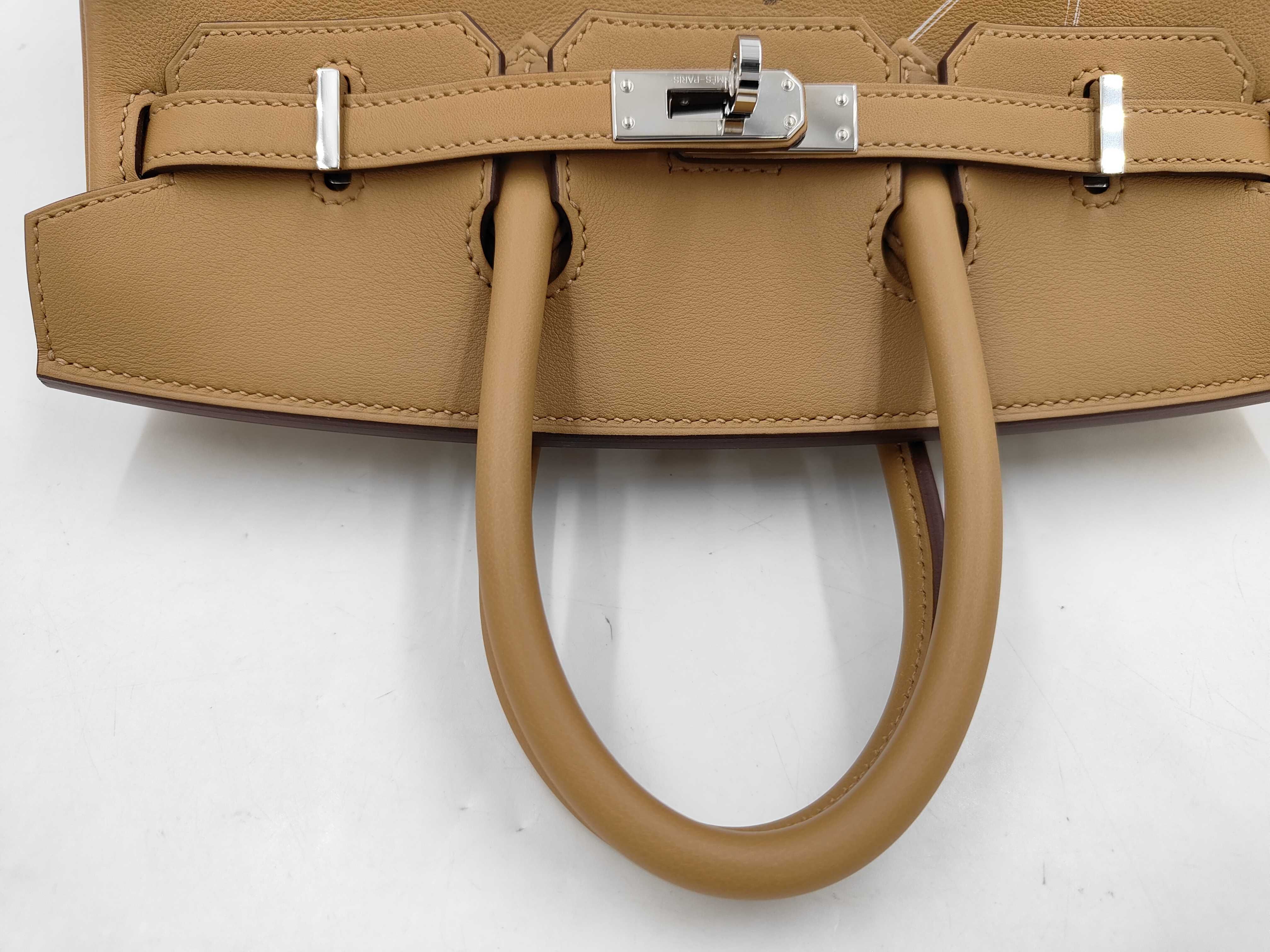 Birkin In & Out 25 Swift Biscuit Silver Hardware Z Stamp Handbag — view 5