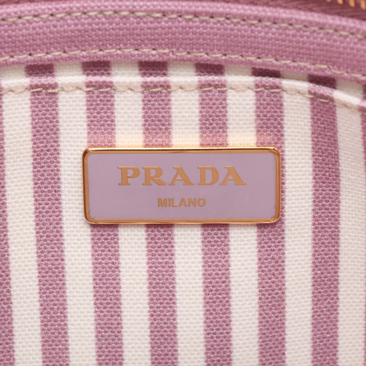 Canapa Canvas 2WAY Handbag Pink 1BG439 — view 12