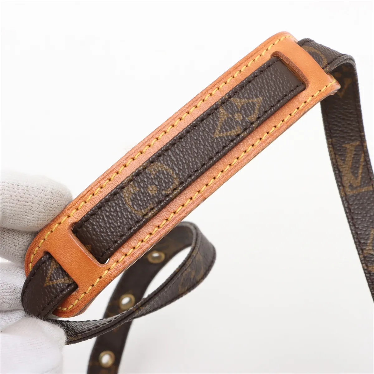Monogram Amazon M45236 AR0030 Brown — view 13