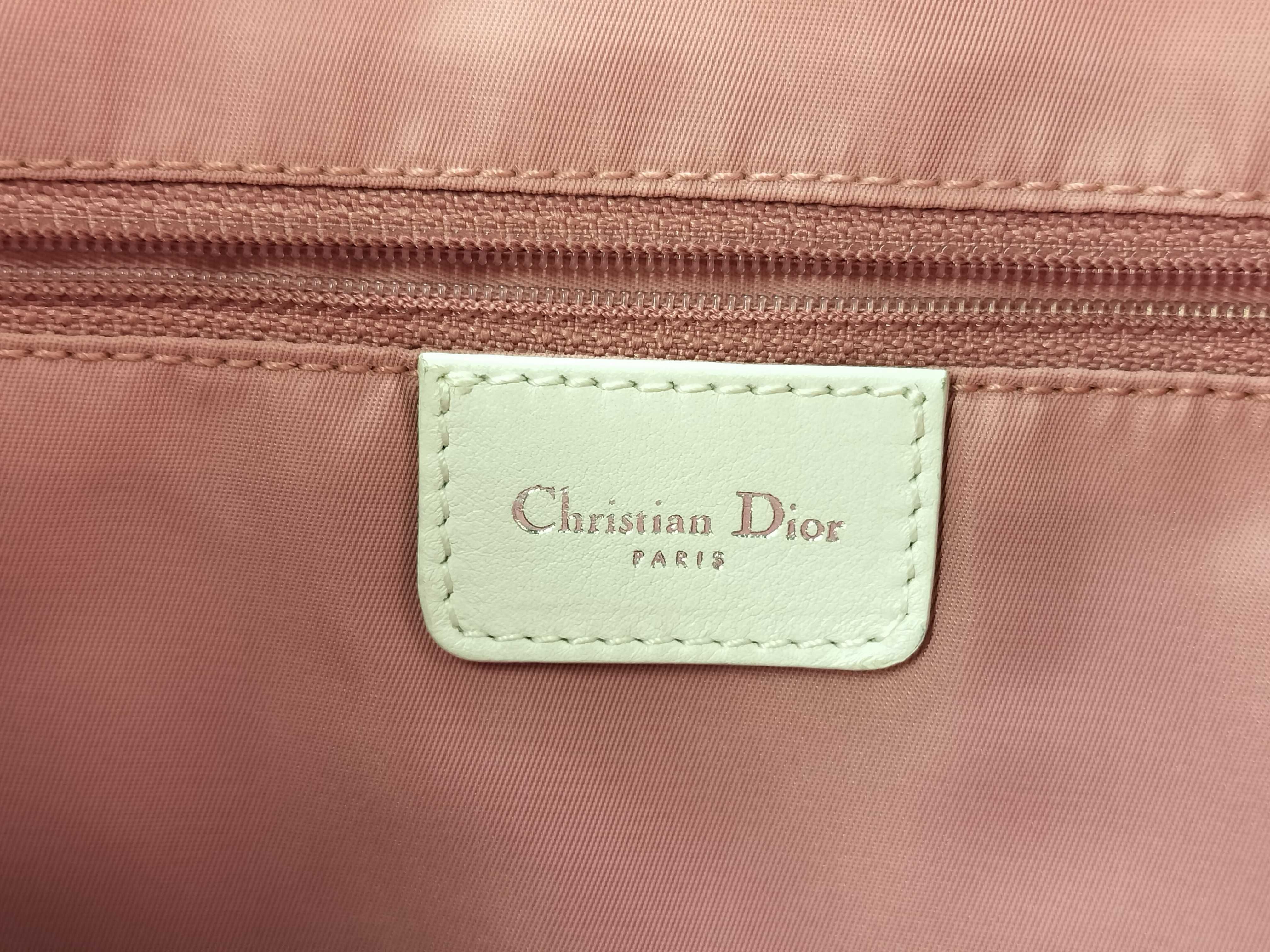 Trotter Dior Shoulder Bag Pink Shoulder Bag — view 9