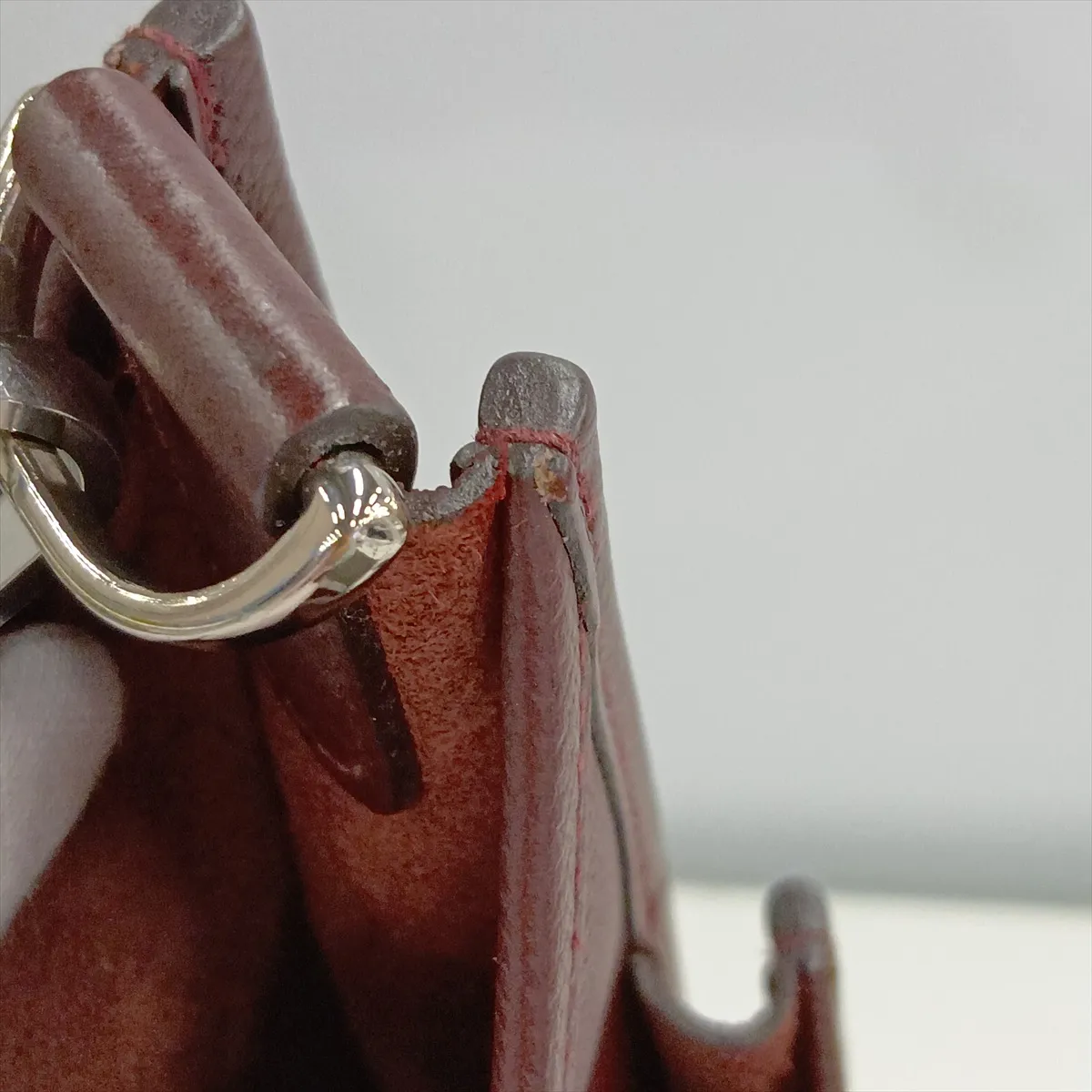 Evelyne 3 29 PM Amazon Veau Epsom Chocolate Silver Hardware X:2016 — view 12