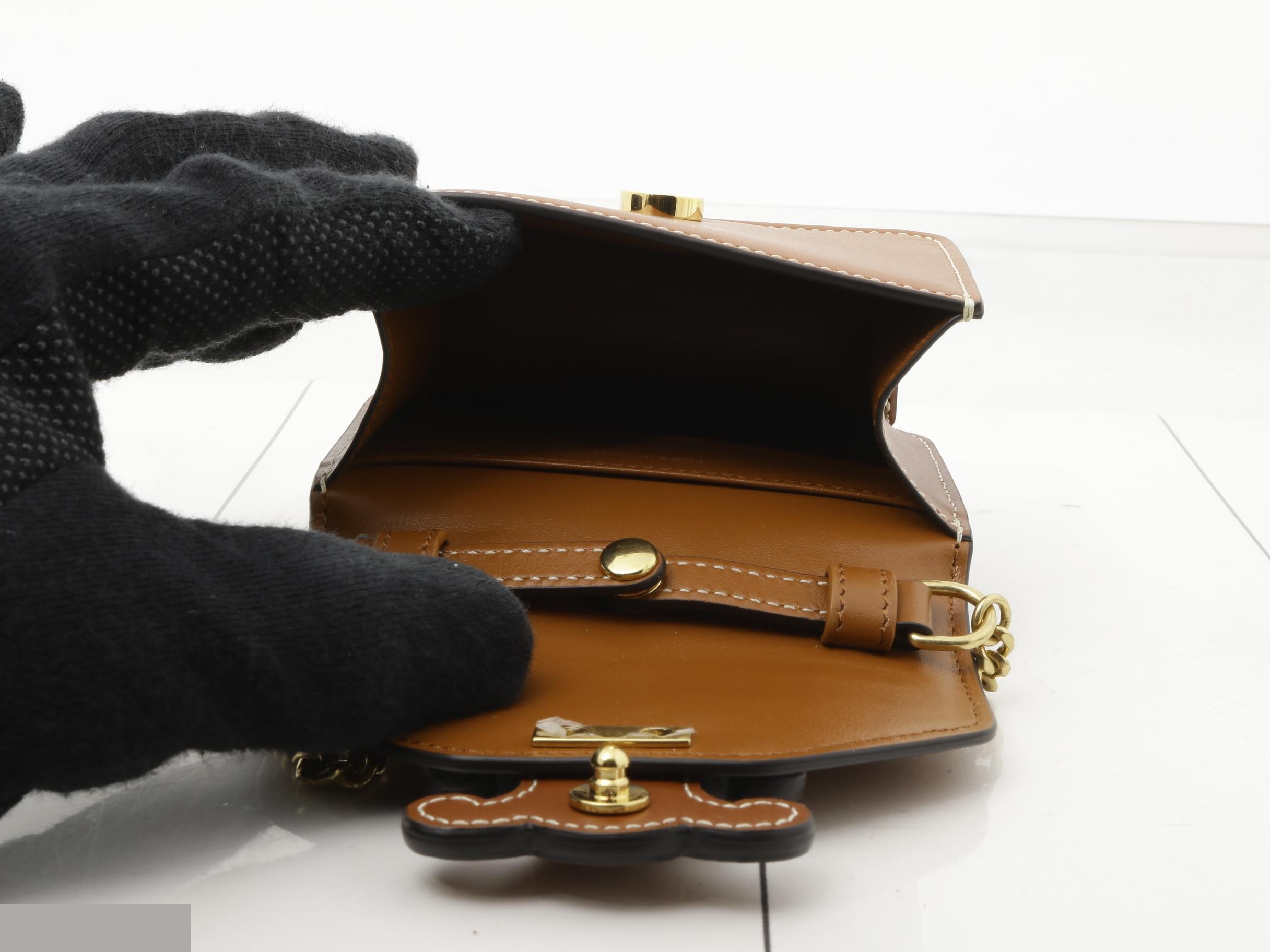 Triomphe Leather Chain Shoulder Case, Brown — view 4