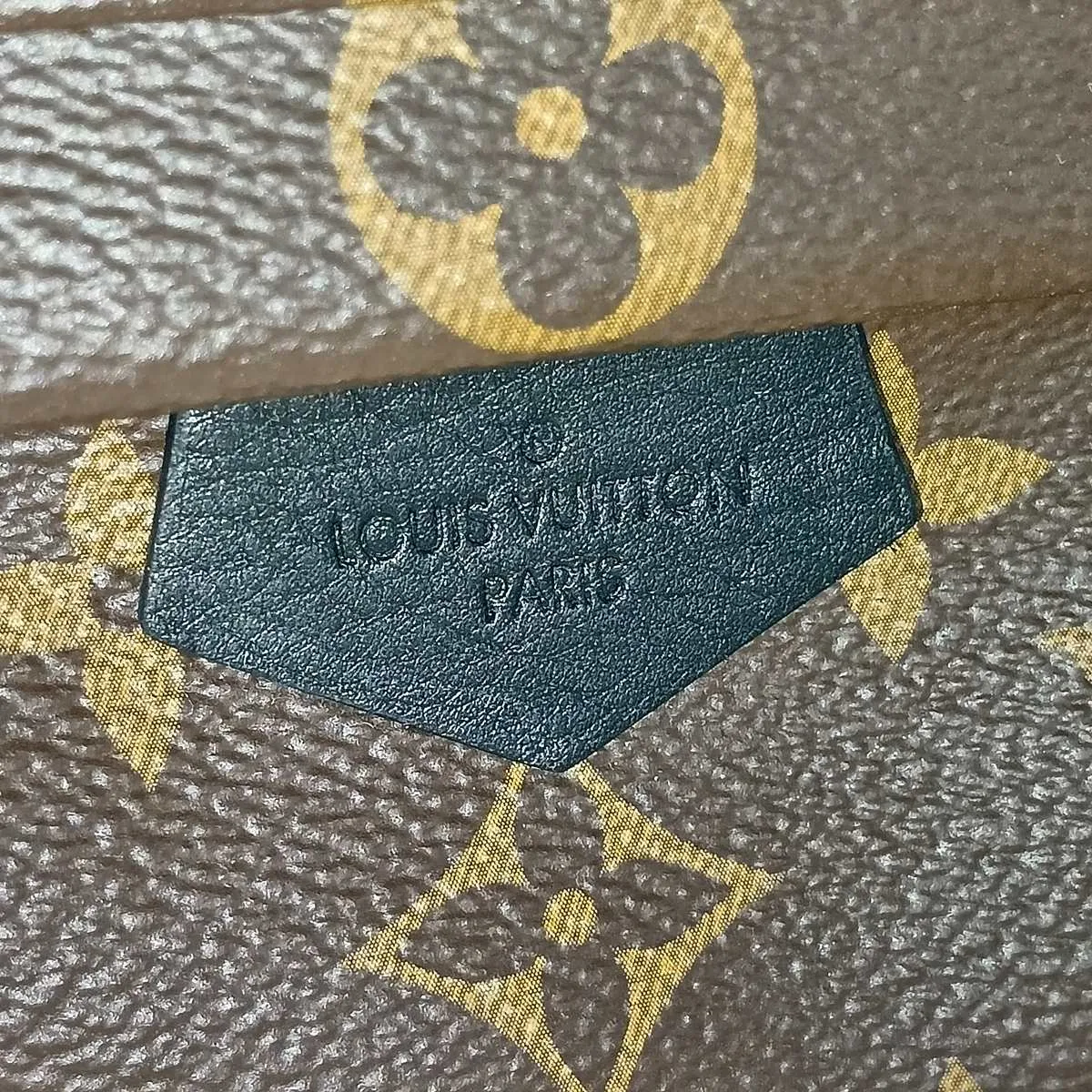 Monogram Palm Springs Backpack MINI M44873 Brown (RFID detected) — view 13