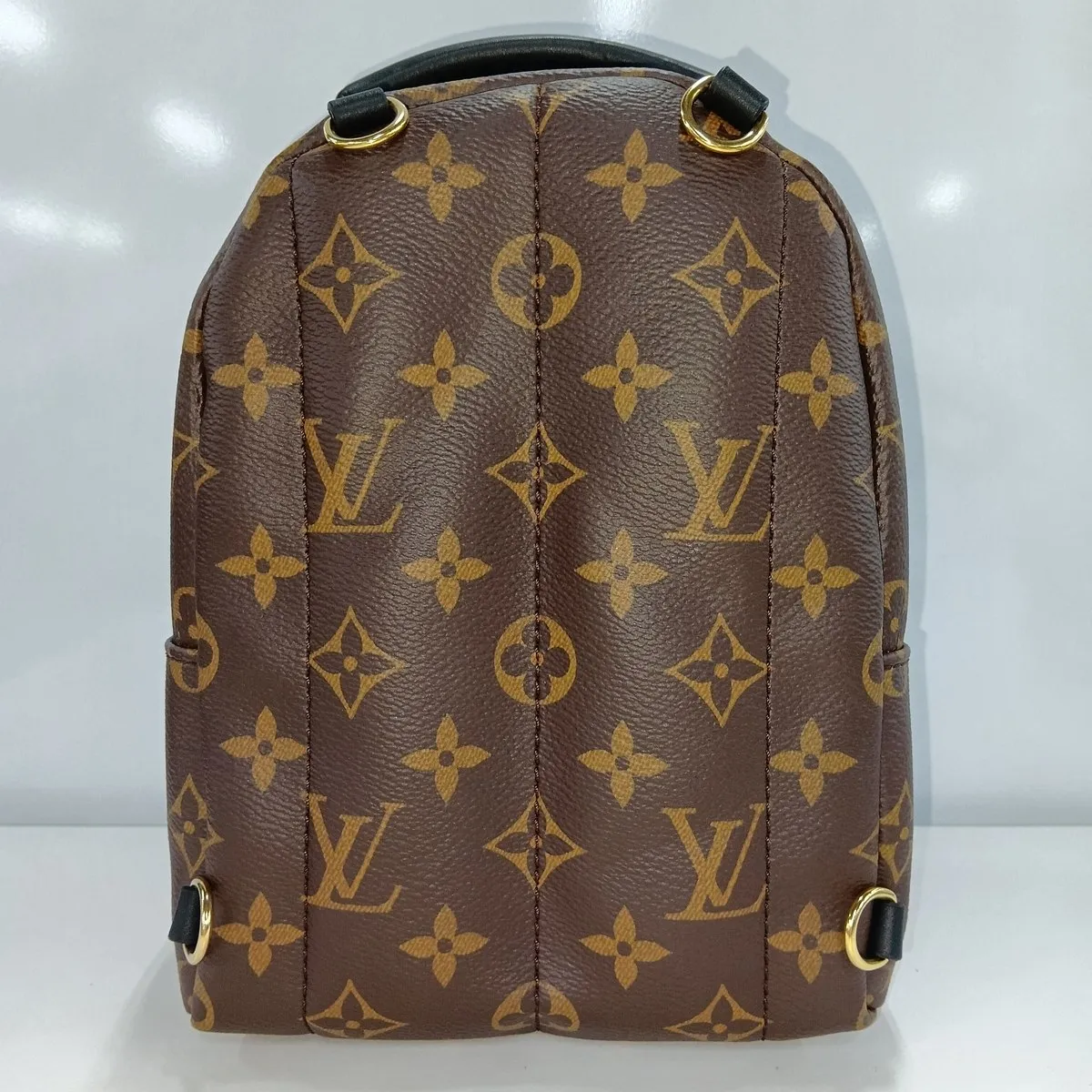 Monogram Palm Springs Backpack MINI M44873 Brown (RFID detected) — view 14