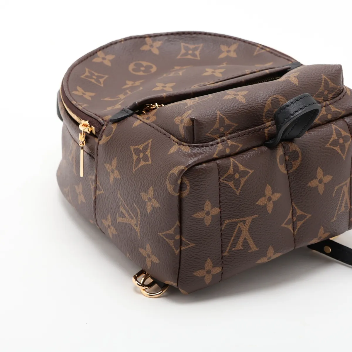 Monogram Palm Springs Backpack MINI M44873 Brown (RFID detected) — view 4