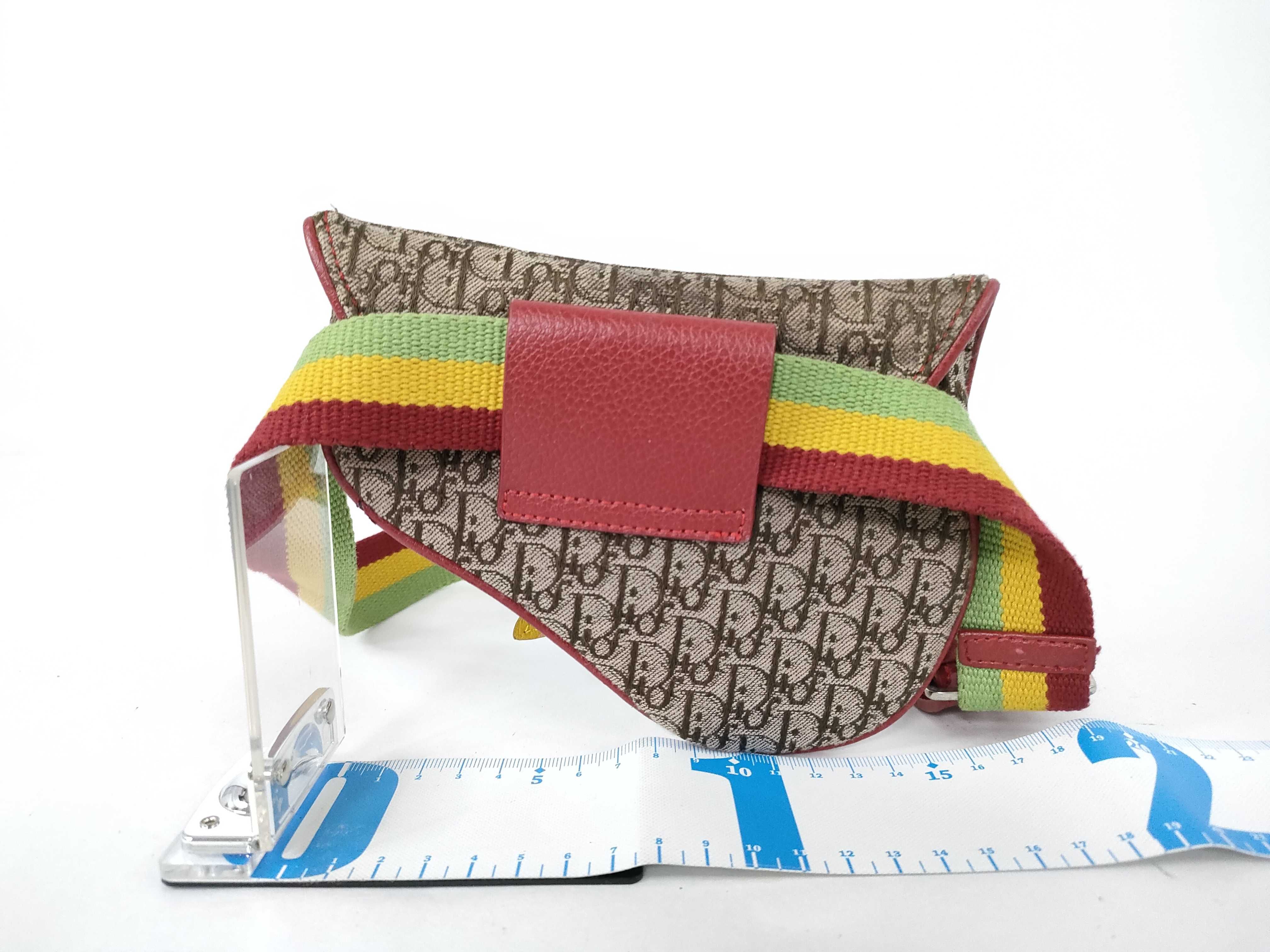 Trotter Dior Trotter Rasta Saddle Waist Bag — view 2