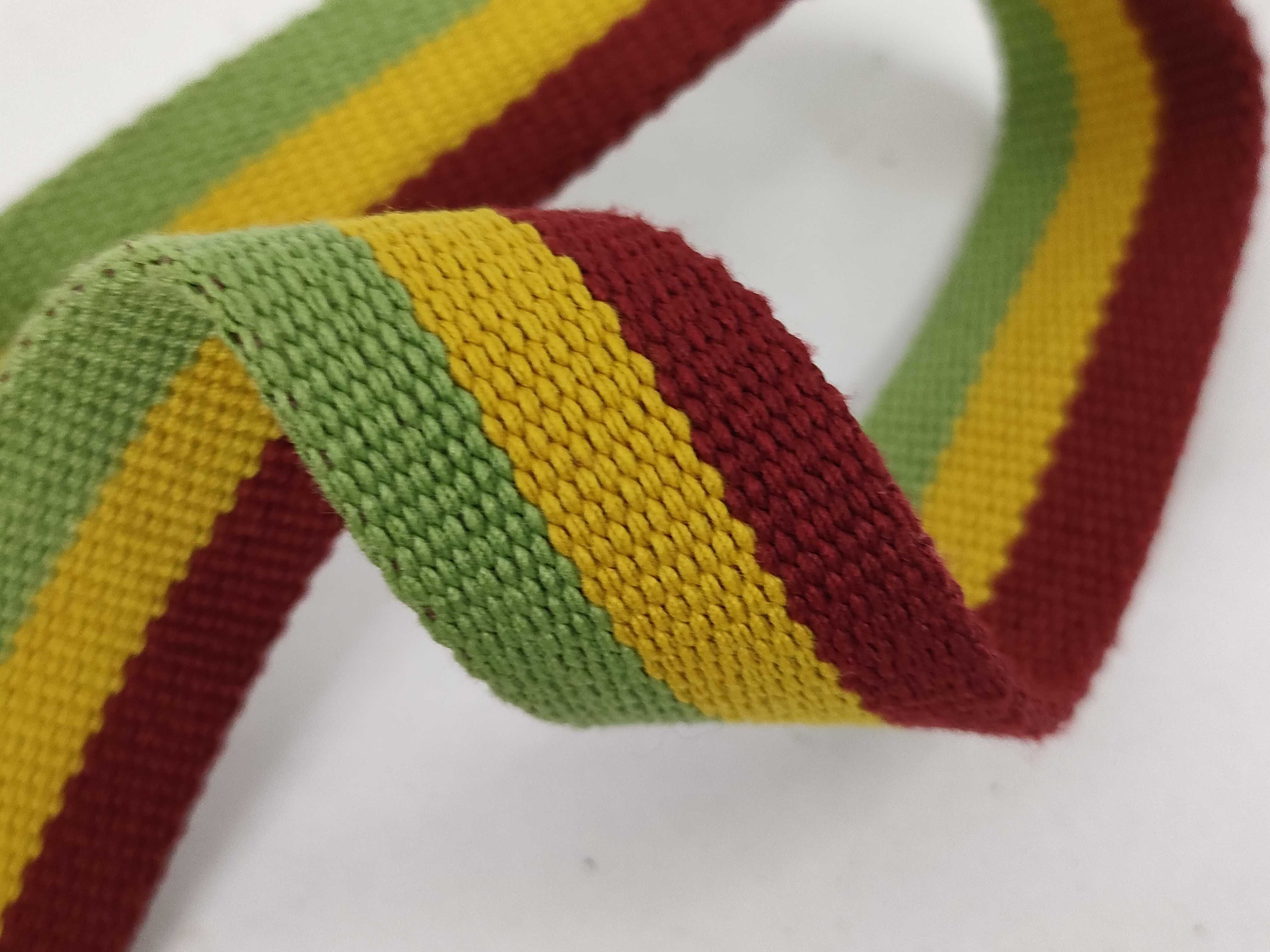 Trotter Dior Trotter Rasta Saddle Waist Bag — view 4