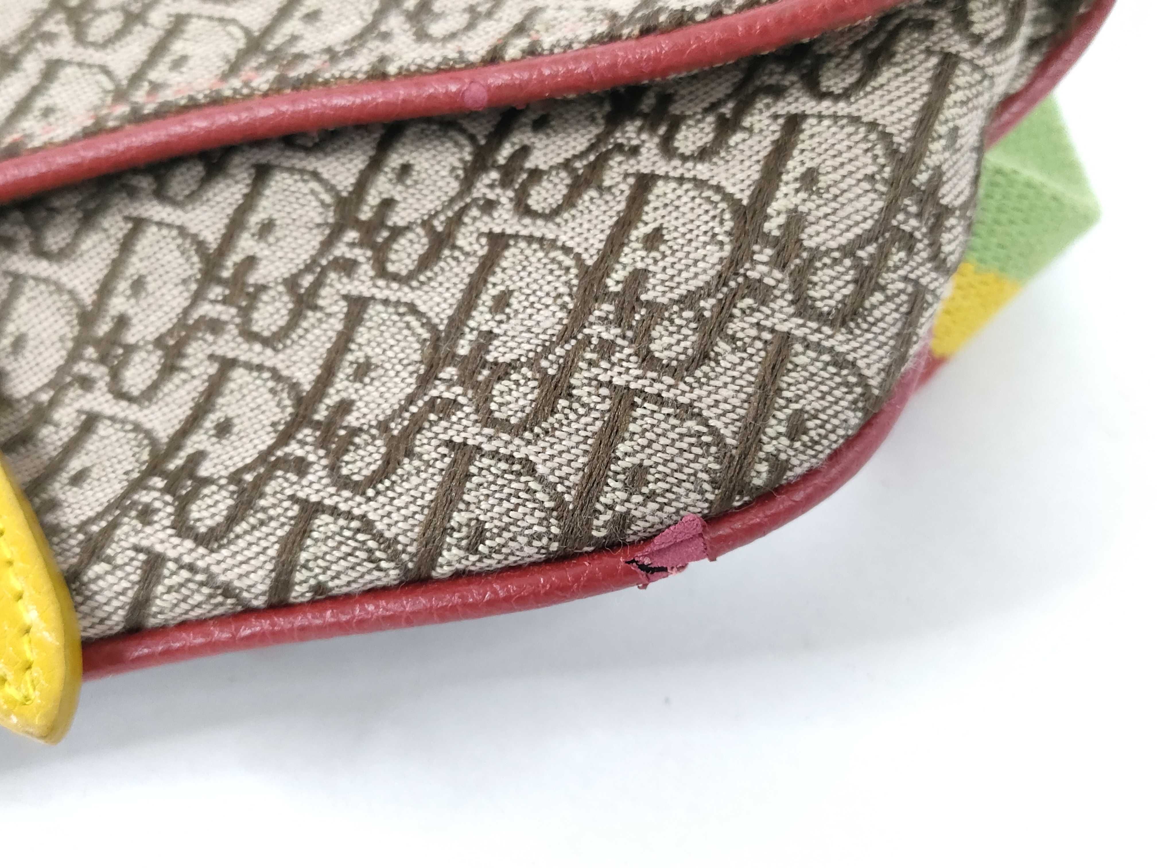 Trotter Dior Trotter Rasta Saddle Waist Bag — view 6