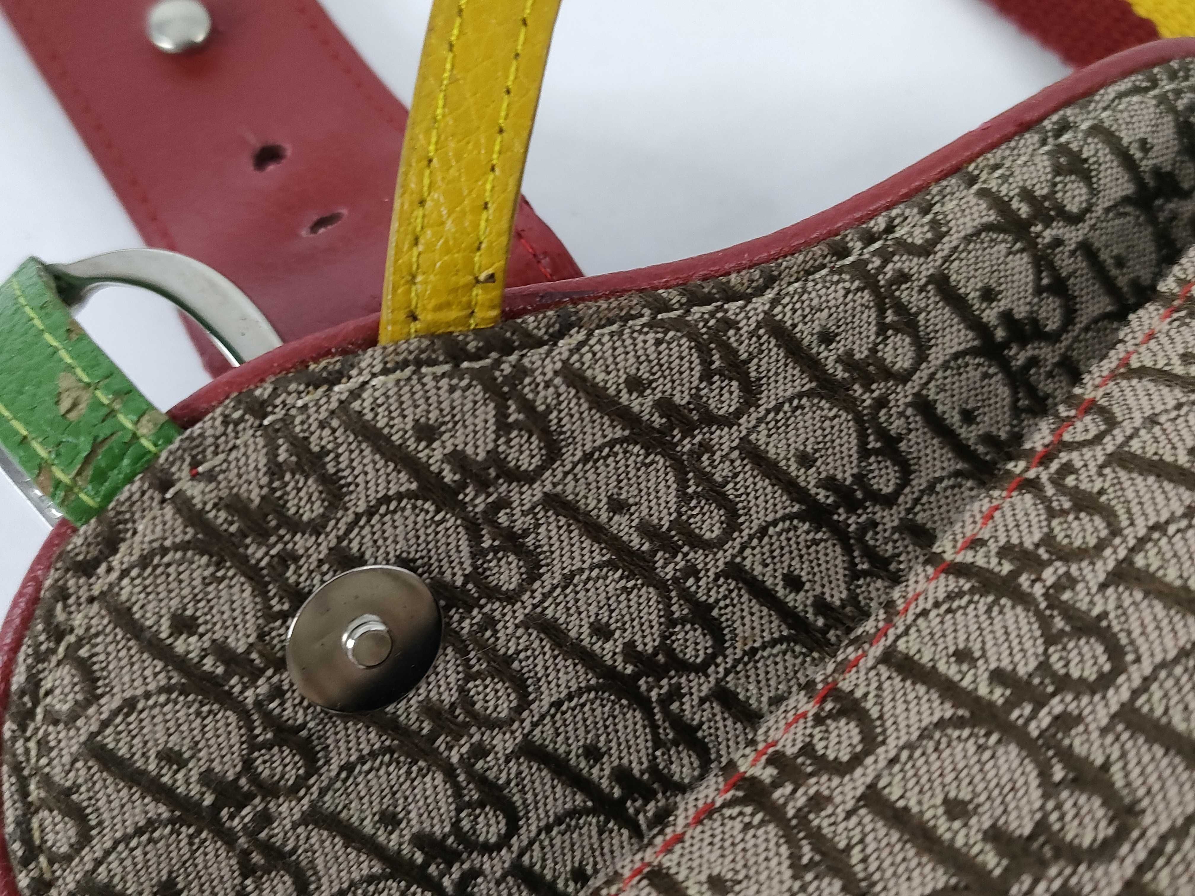 Trotter Dior Trotter Rasta Saddle Waist Bag — view 8