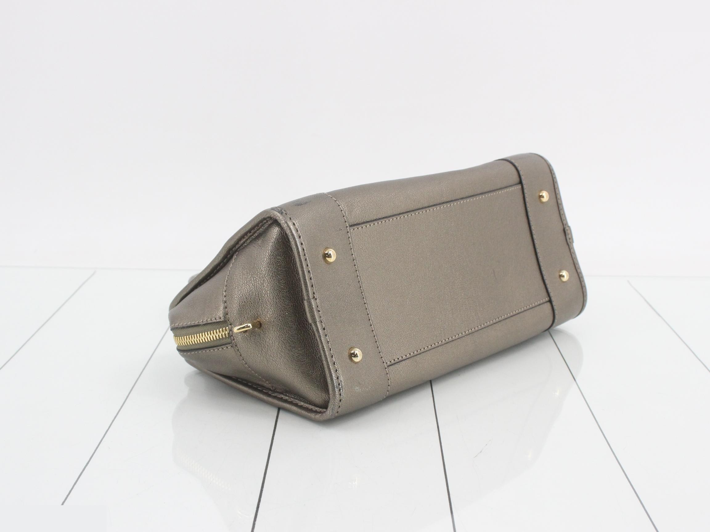 Amazona 28 Handbag, Gold Hardware — view 5