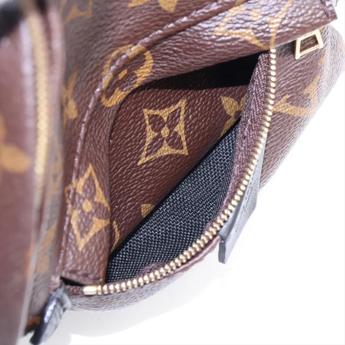 Monogram Palm Springs Backpack MINI M41562 AR2166 Brown — view 8