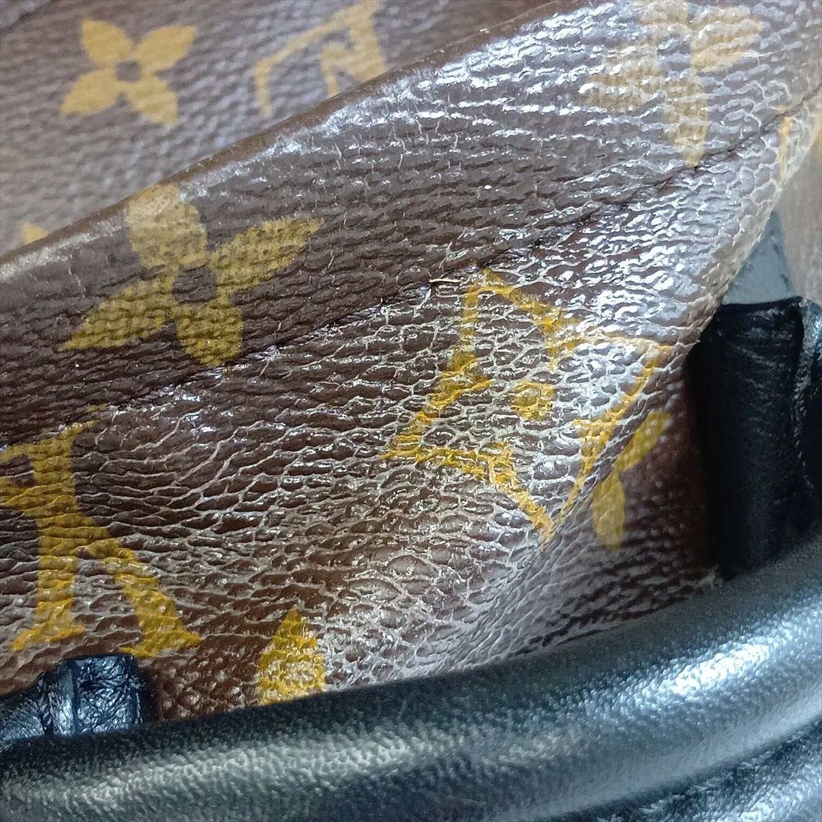 Monogram Palm Springs Backpack MINI M41562 AR2166 Brown — view 10