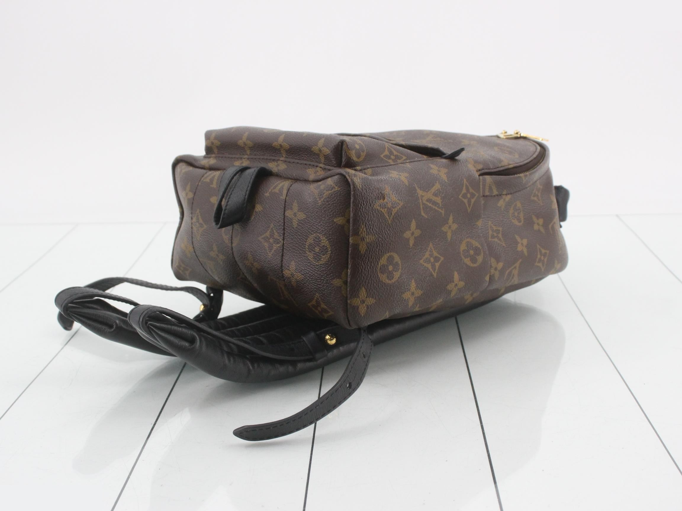 Monogram Palm Springs Backpack PM (Rucksack/Backpack) — view 6