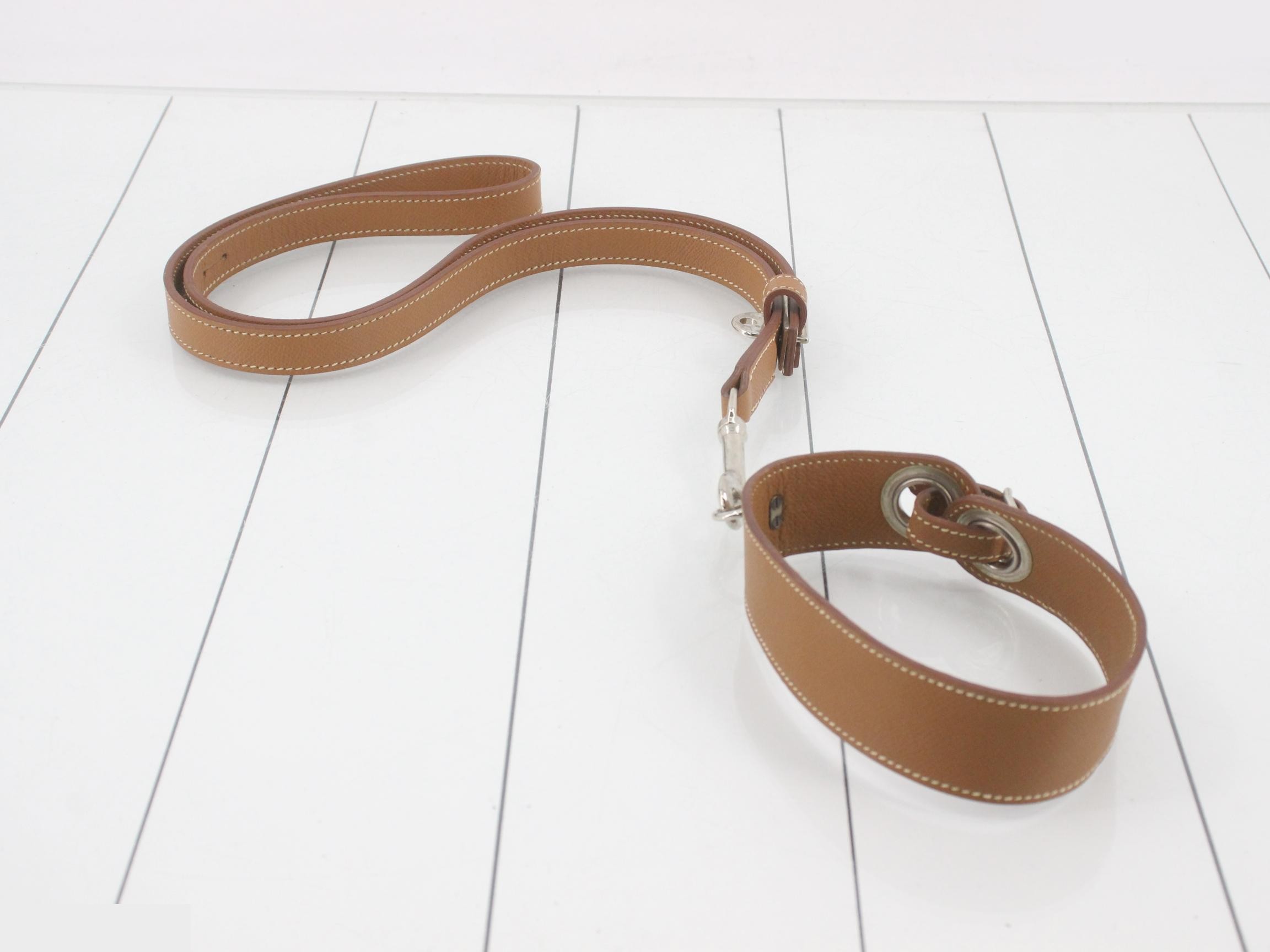 belt — view 2