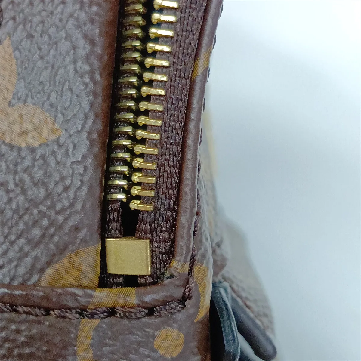 Monogram Palm Springs Backpack MINI M44873 Brown (RFID detected) — view 13