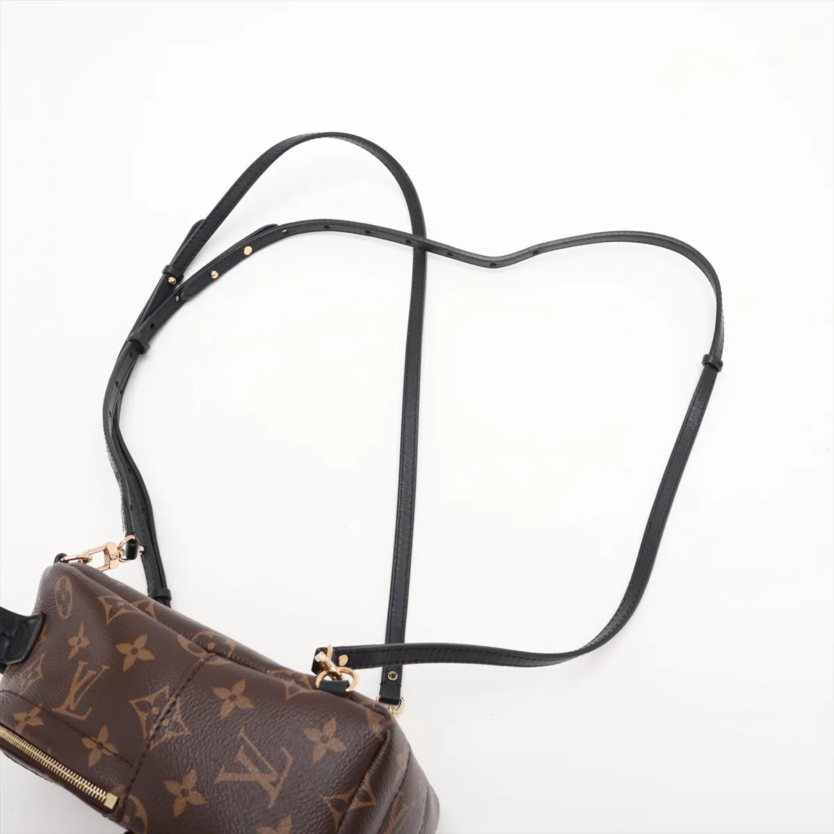 Monogram Palm Springs Backpack MINI M44873 Brown (RFID detected) — view 6