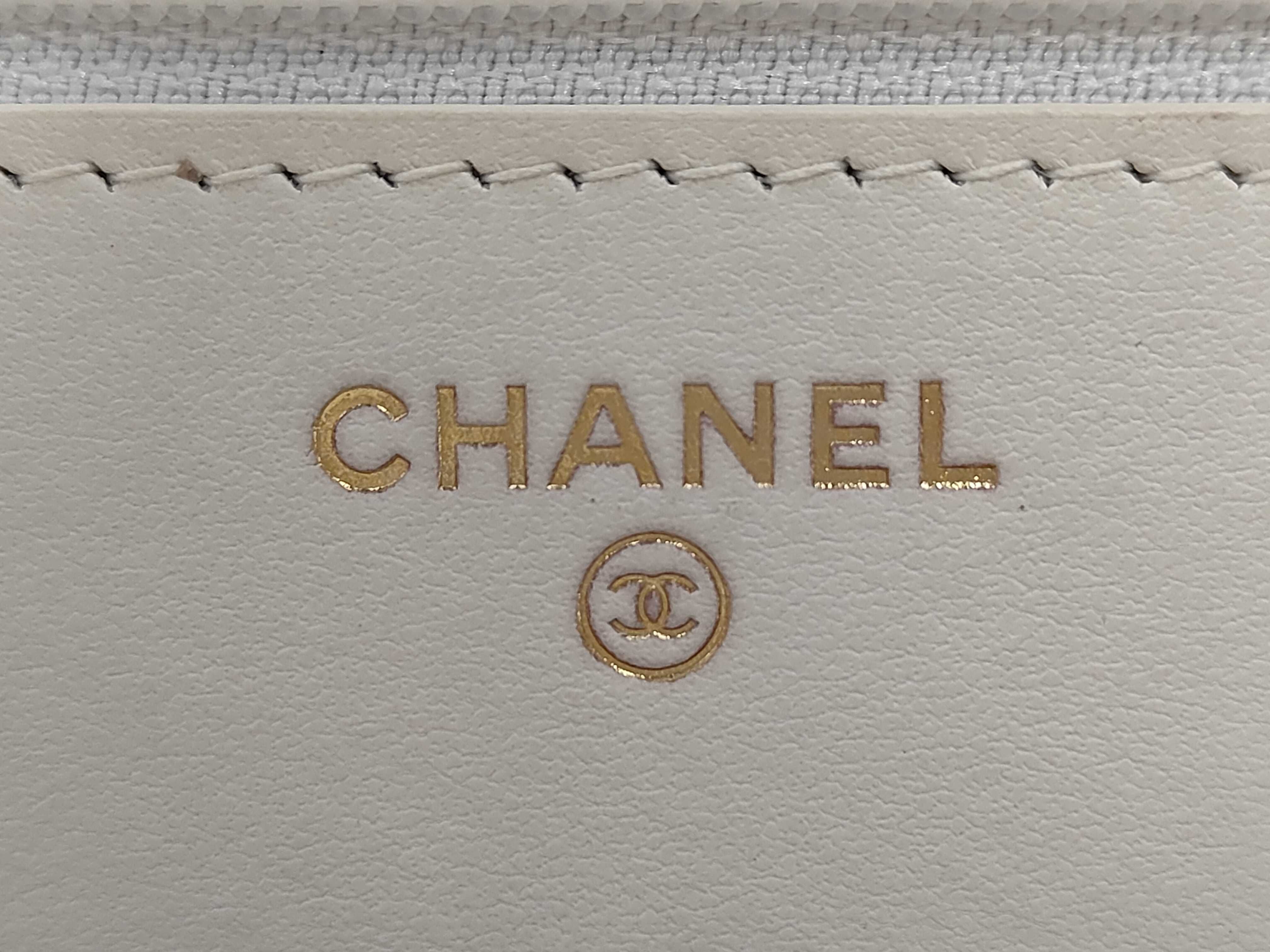 WOC Chain Shoulder Bag — view 9