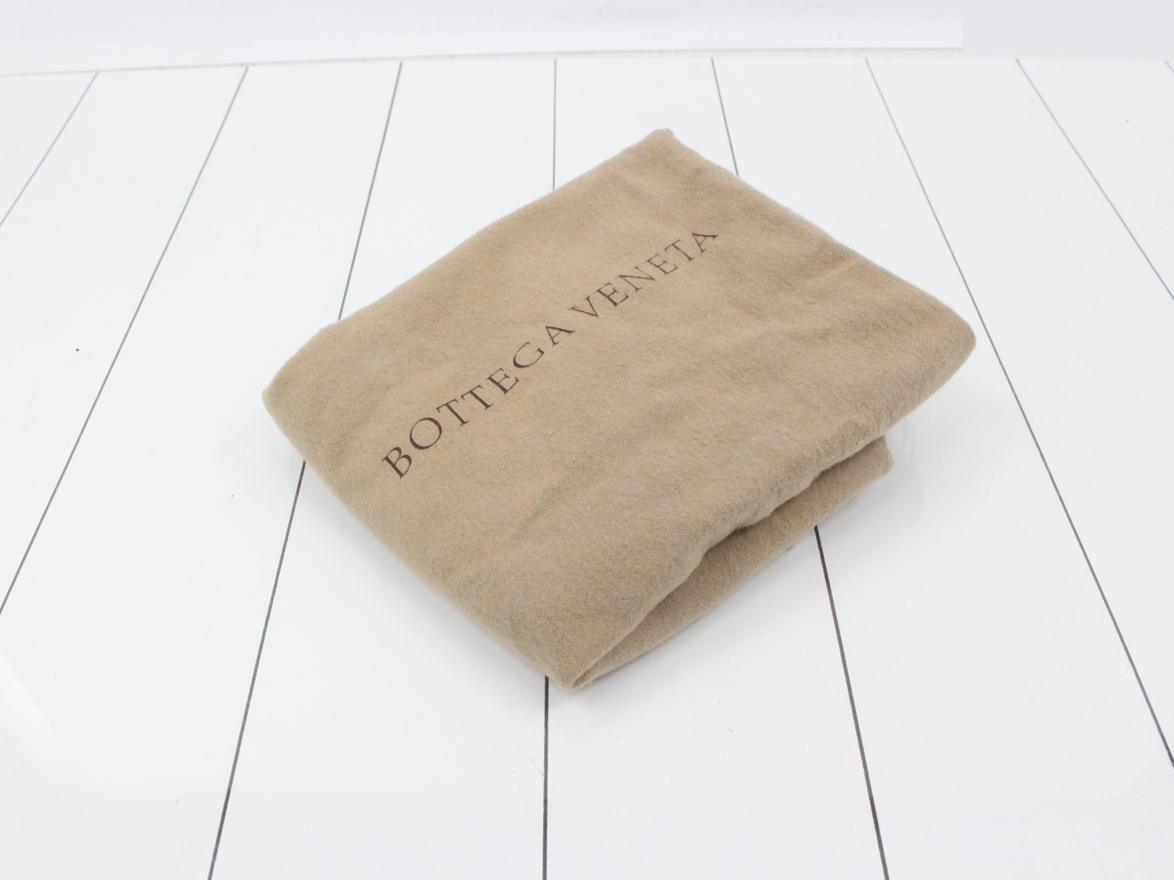 Intrecciato Python Clutch Bag — view 7