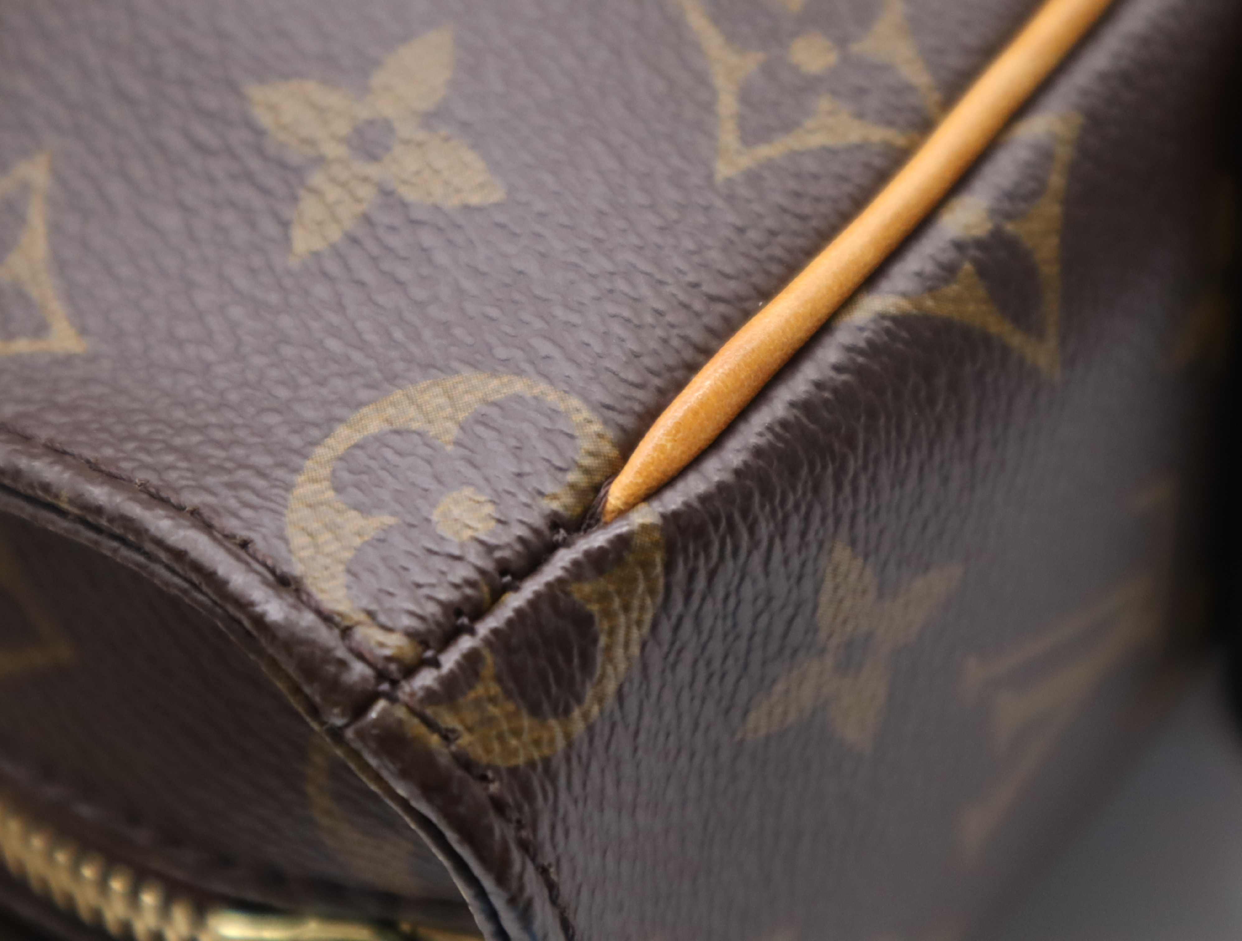 M51162 Monogram Multipli Cite Tote Bag — view 11