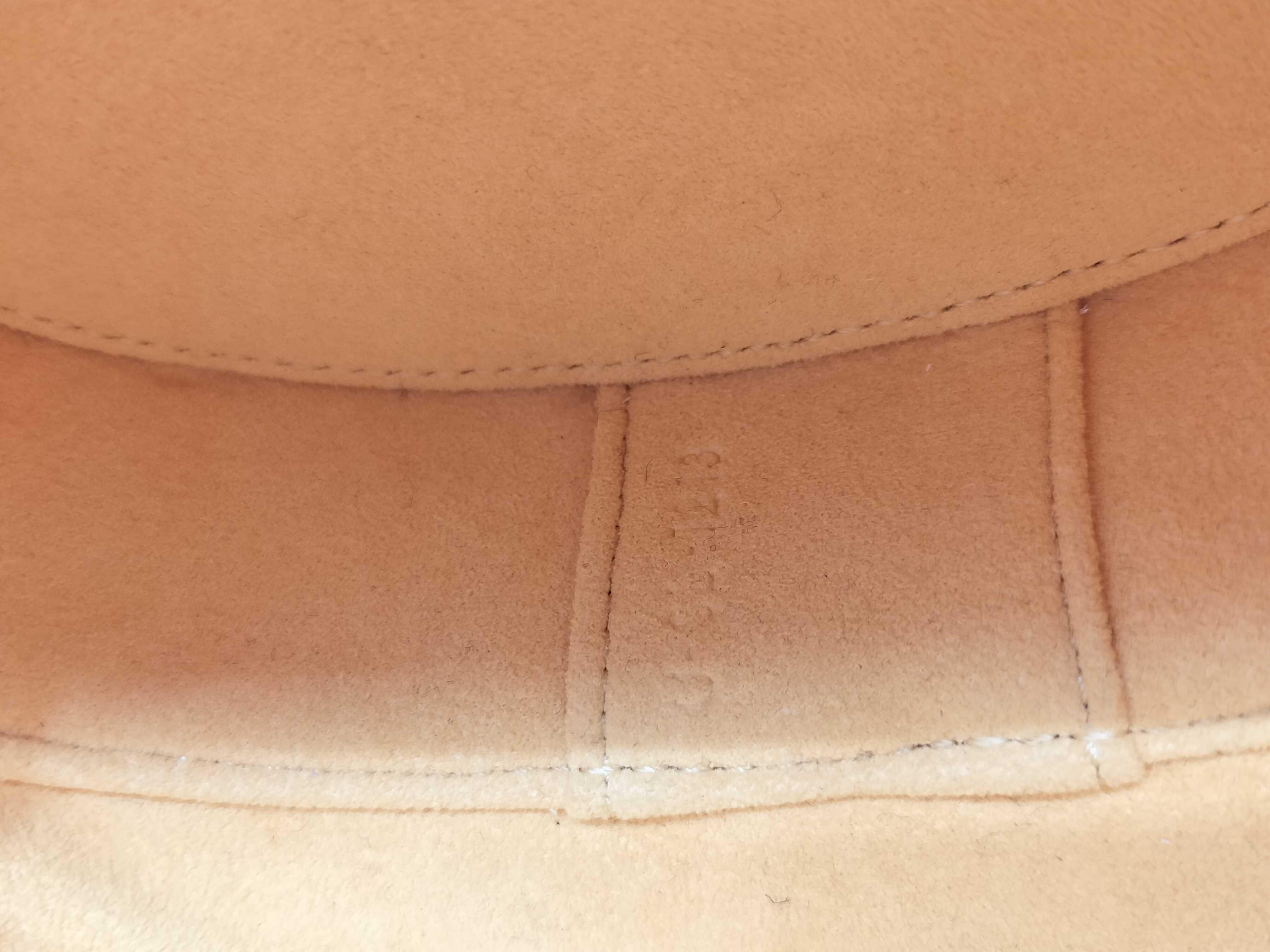 Unused Cuir Triomphe Handbag with Hard Case — view 12