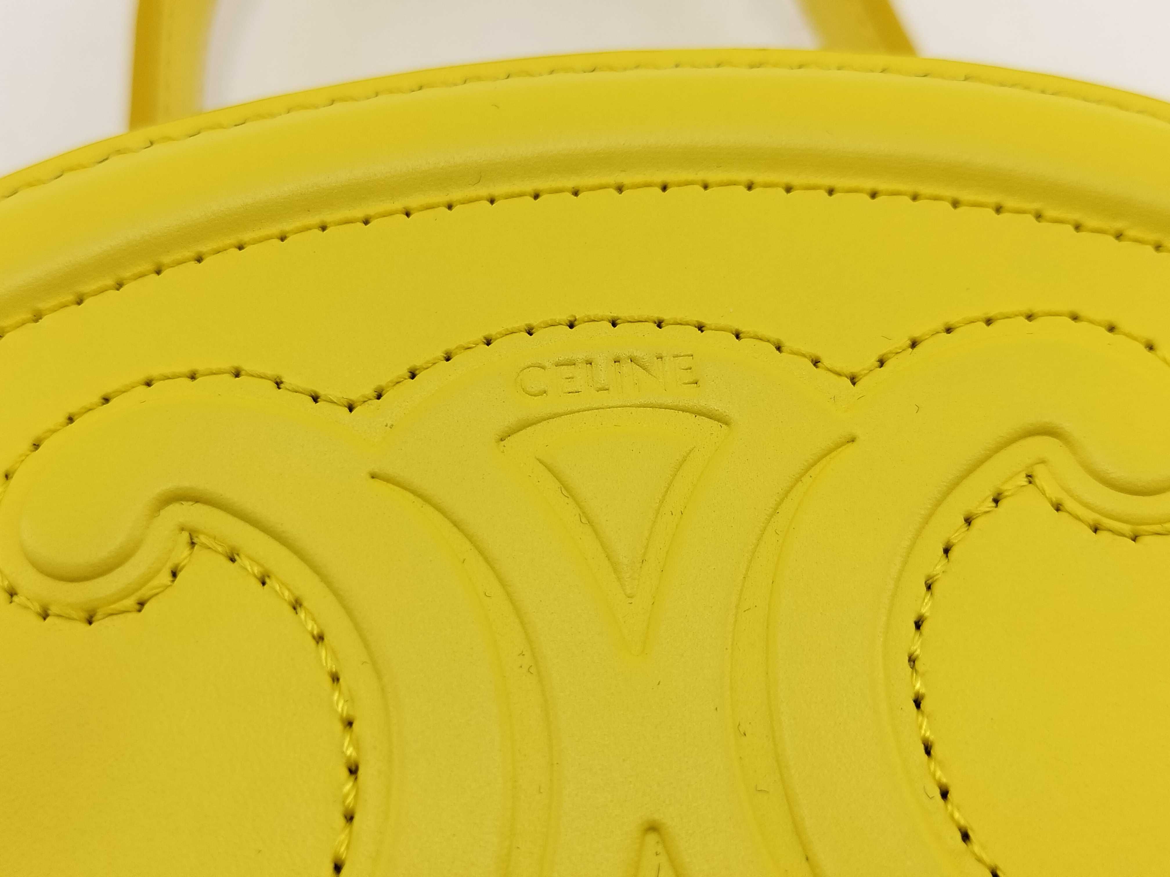 Unused Cuir Triomphe Handbag with Hard Case — view 13