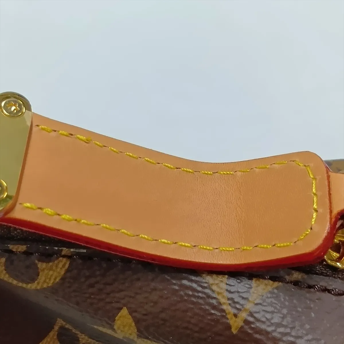 Monogram Side Trunk PM M46815 Brown (RFID detected) — view 11