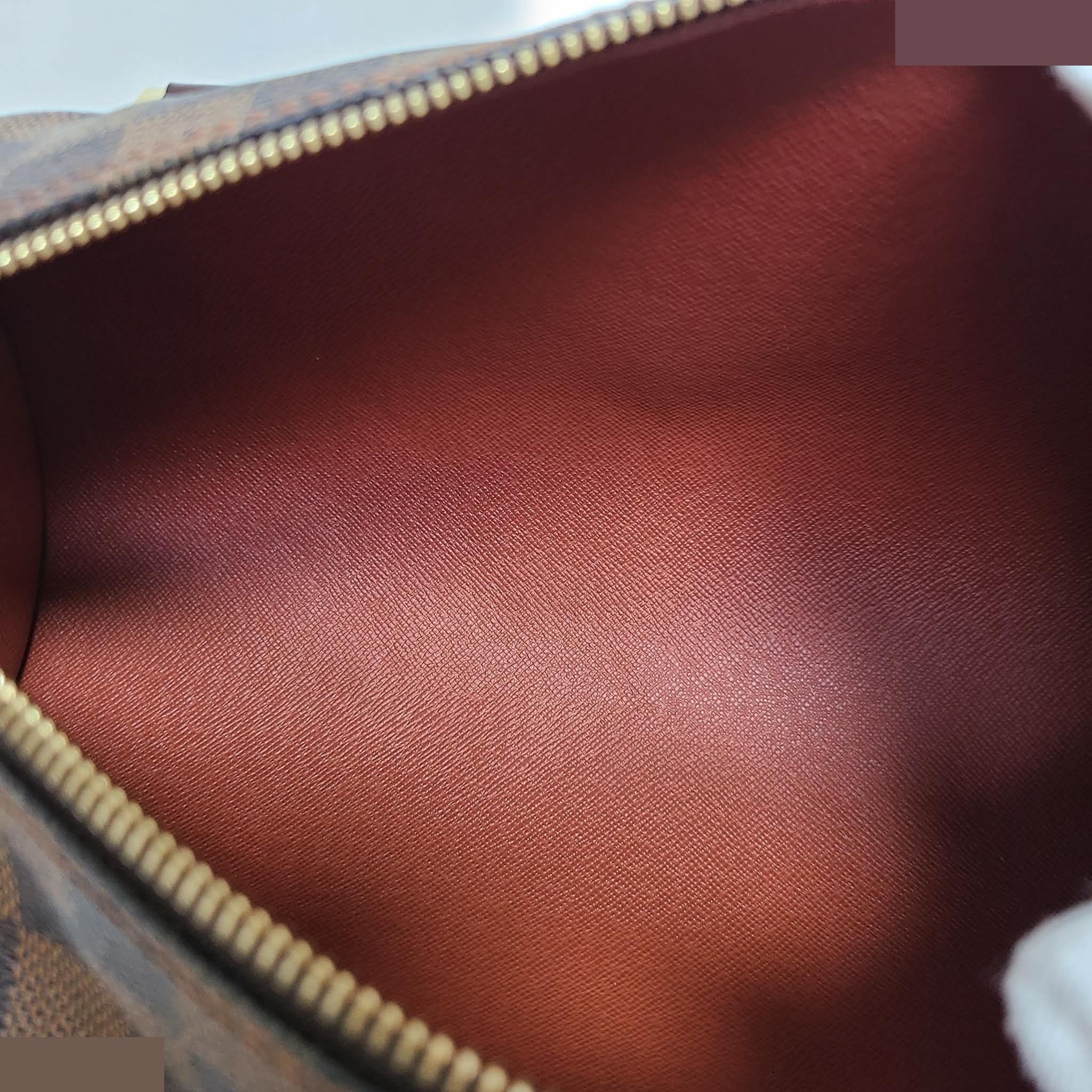 Papillon — view 12