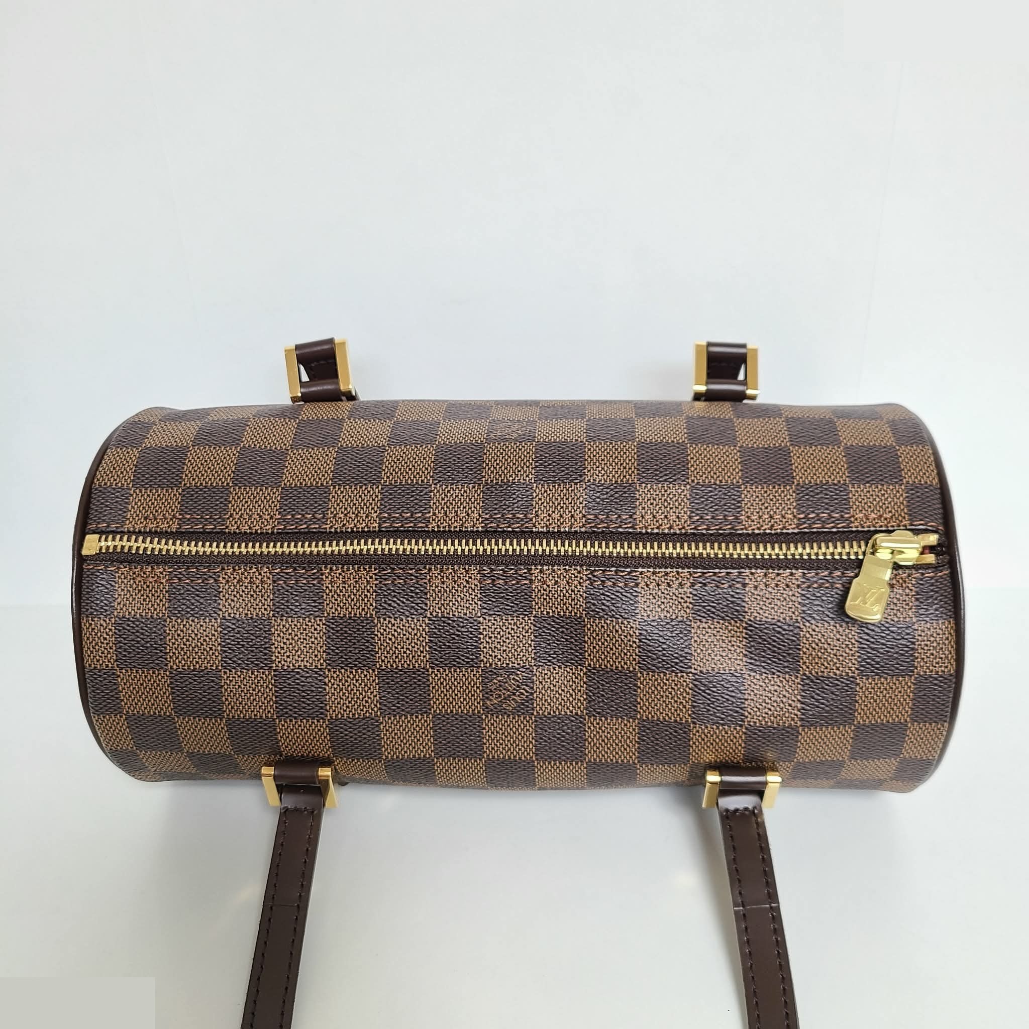 Papillon — view 4