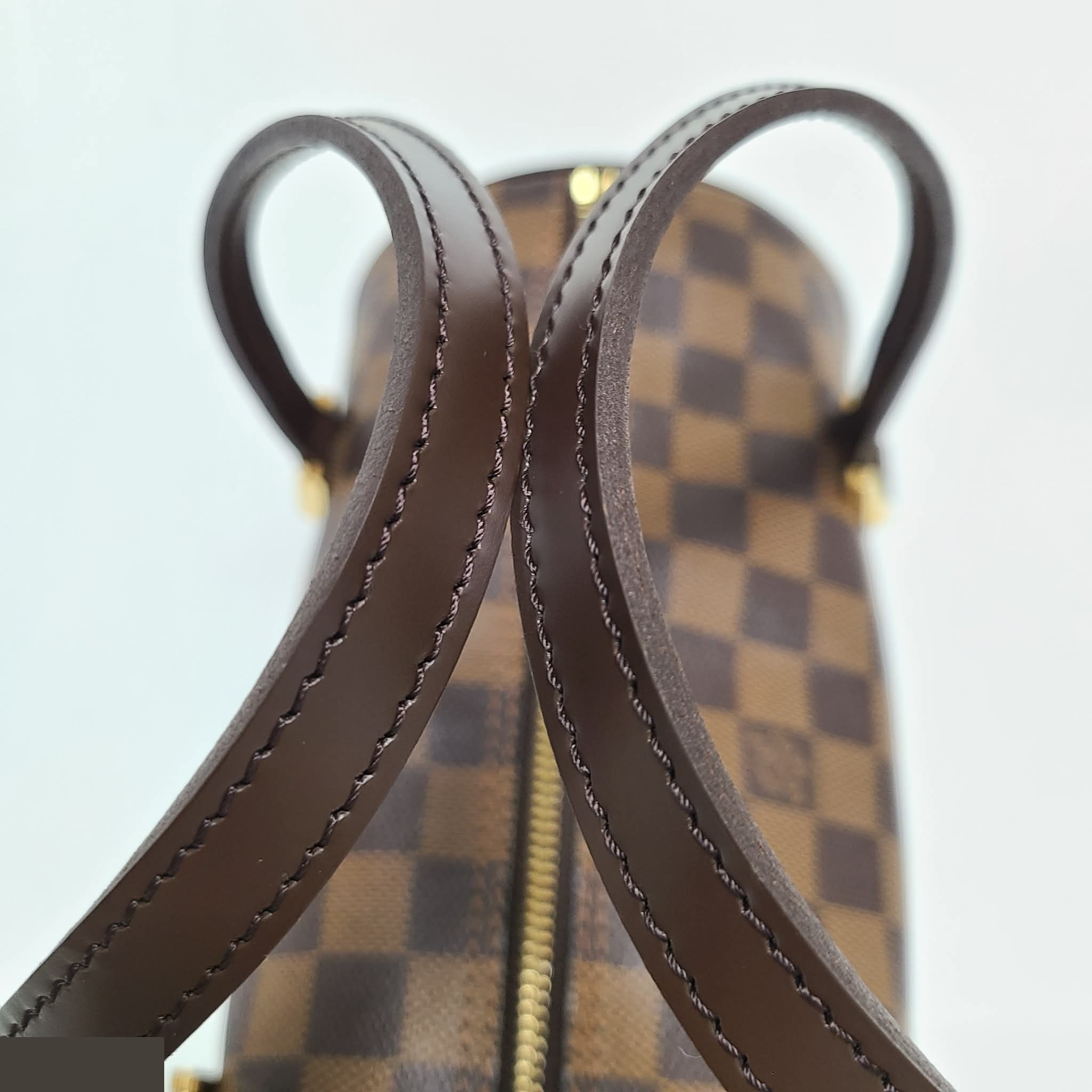 Papillon — view 7