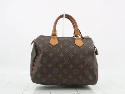 LV Monogram Speedy 25 M41528