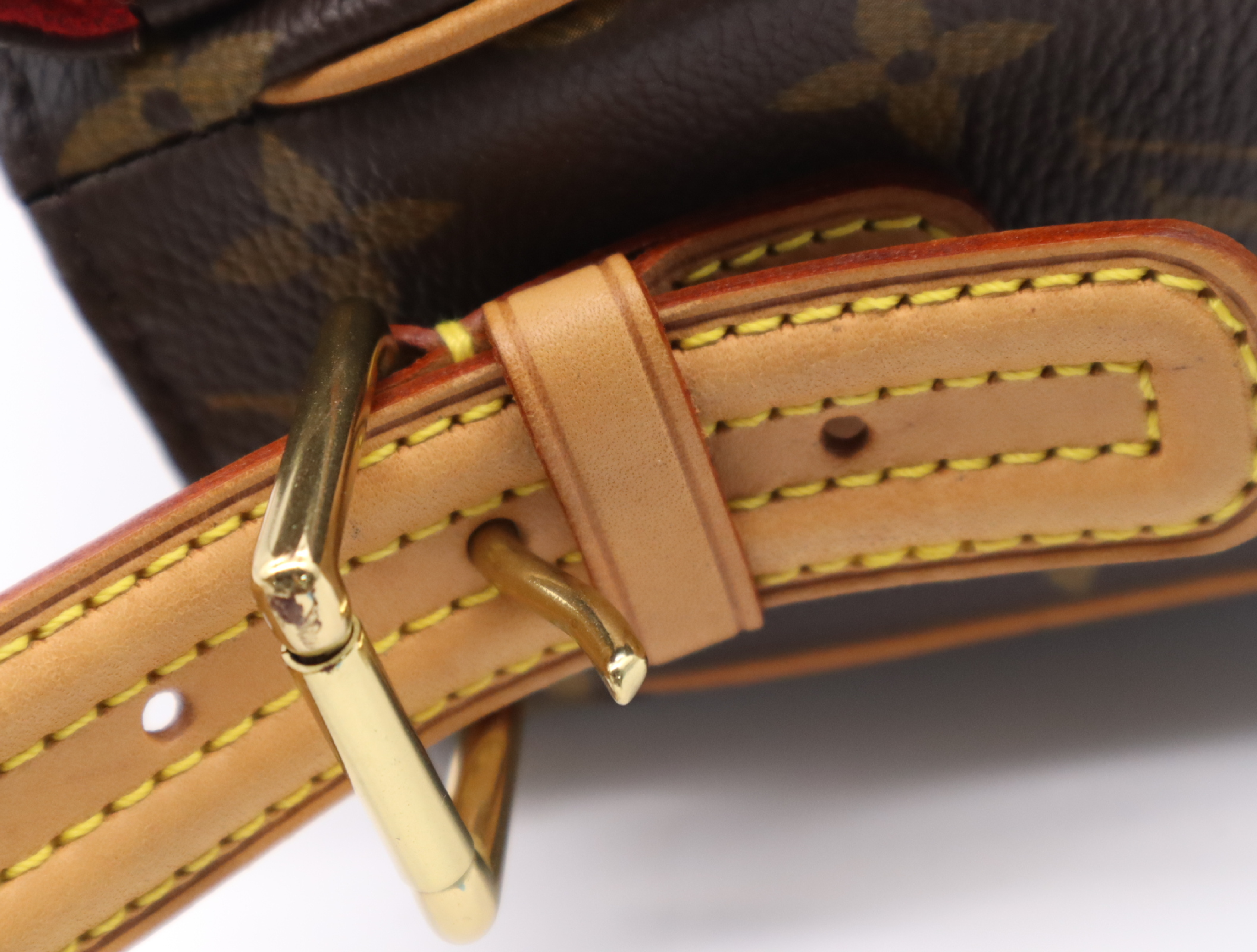 M51164 Monogram Viva Cite MM Handbag — view 11