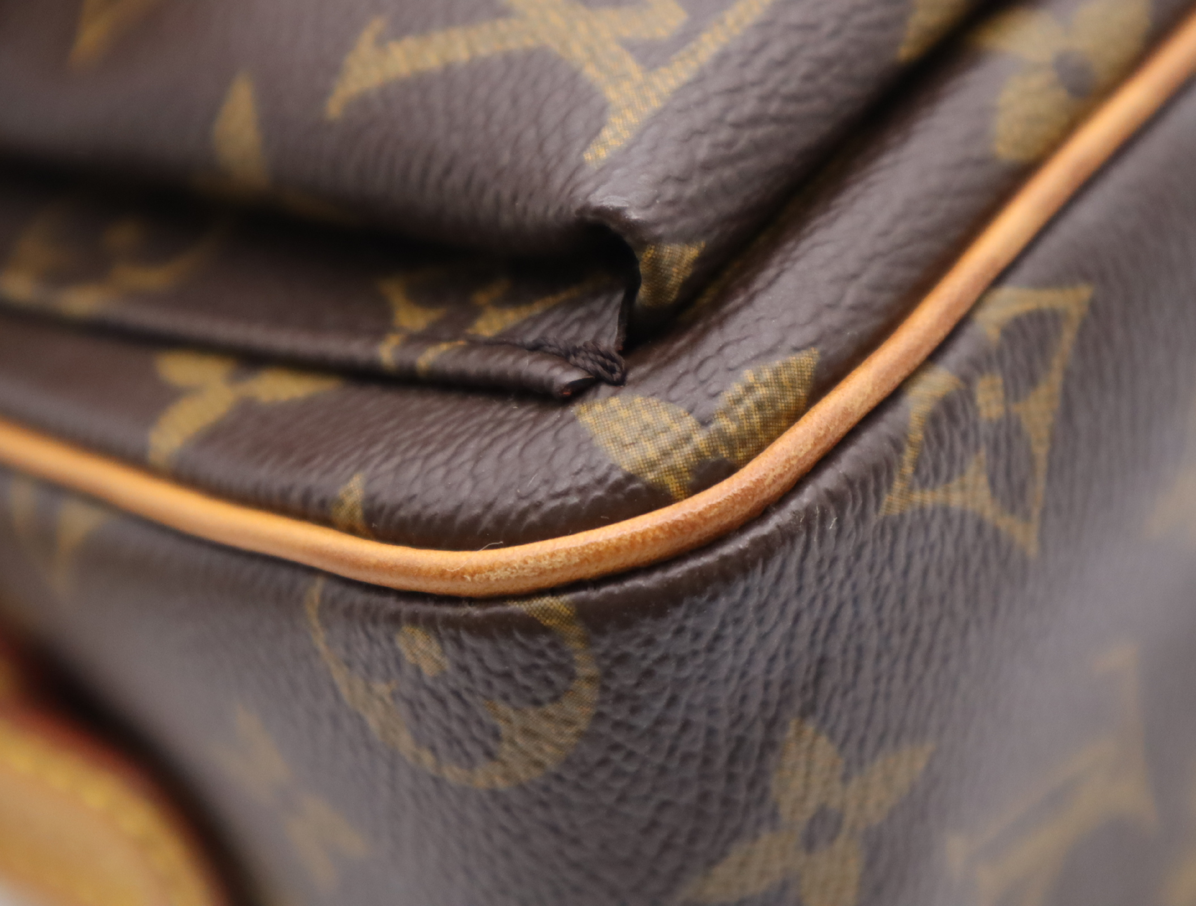 M51164 Monogram Viva Cite MM Handbag — view 6