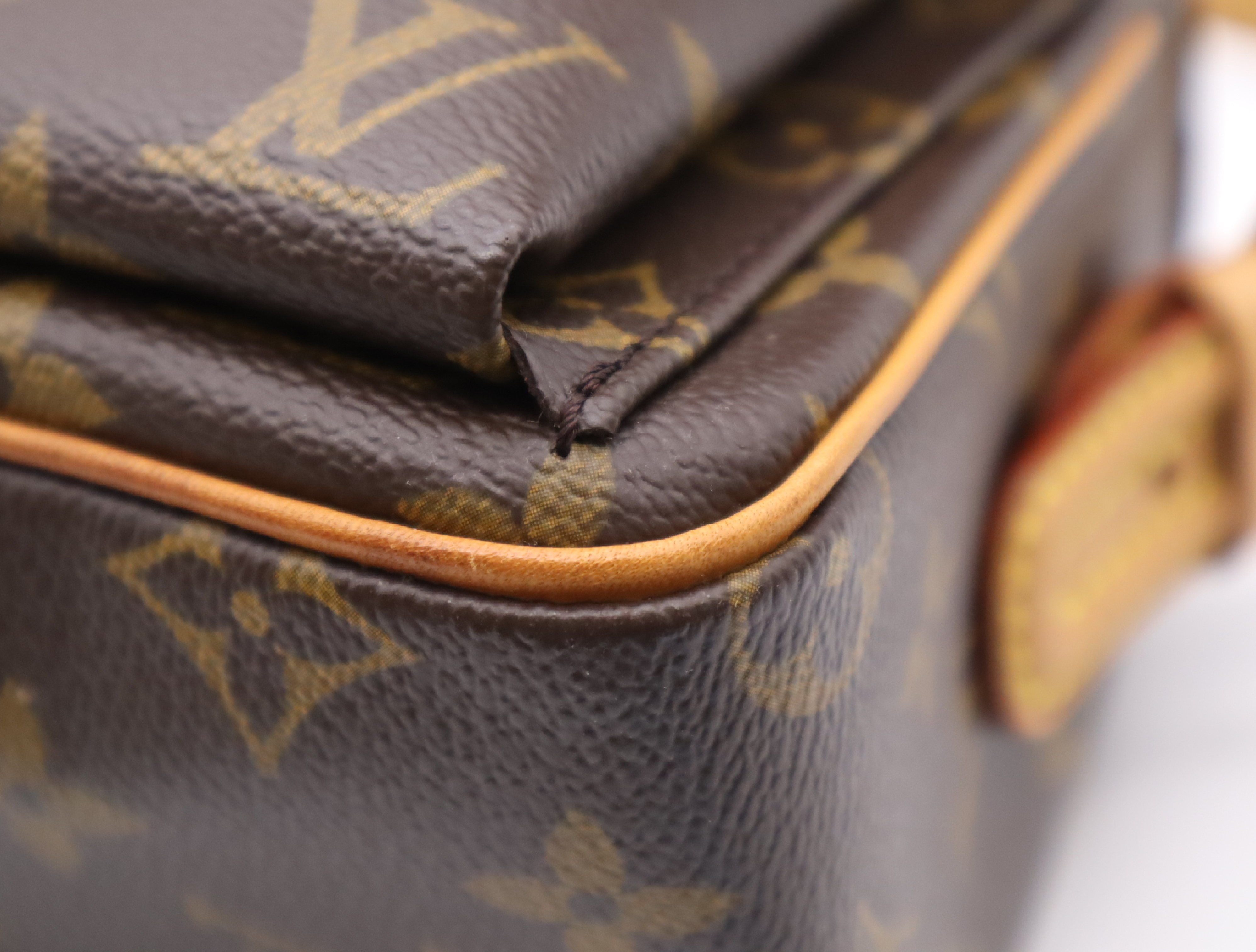 M51164 Monogram Viva Cite MM Handbag — view 7