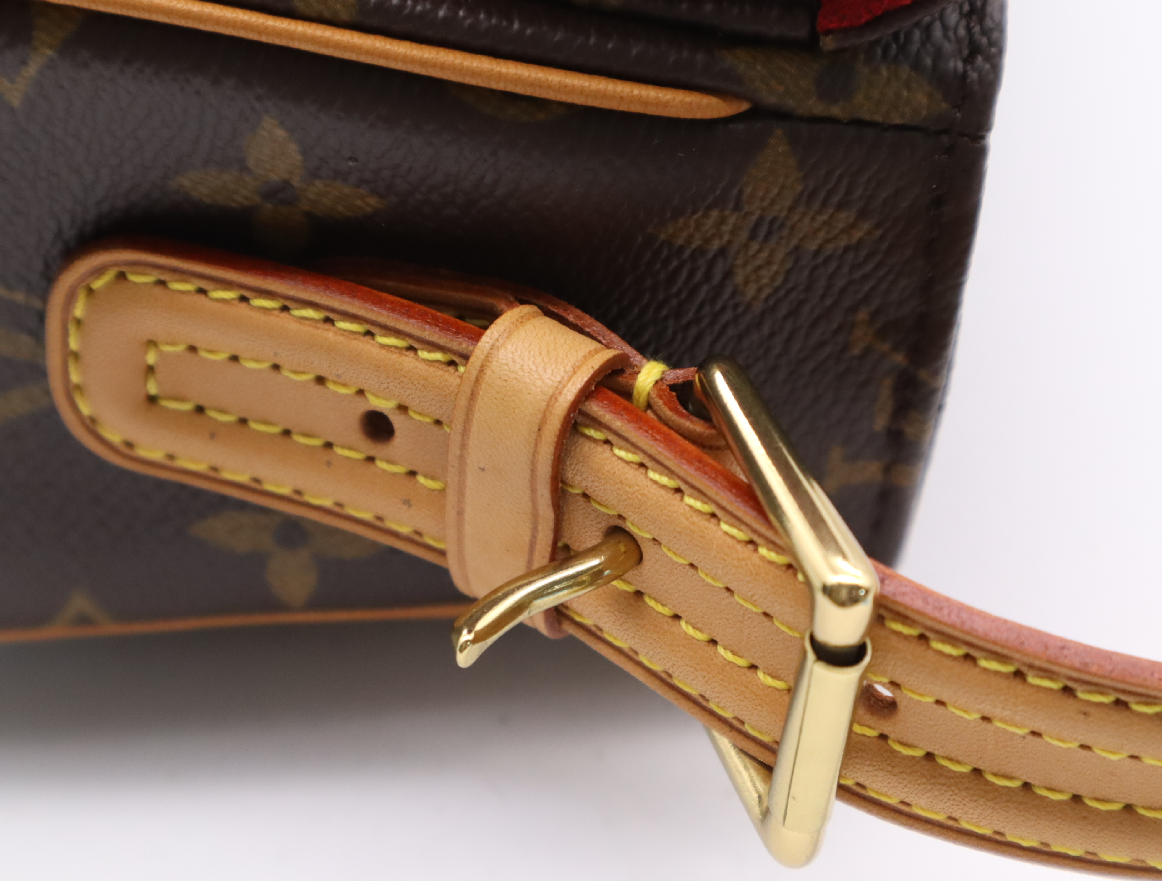 M51164 Monogram Viva Cite MM Handbag — view 8