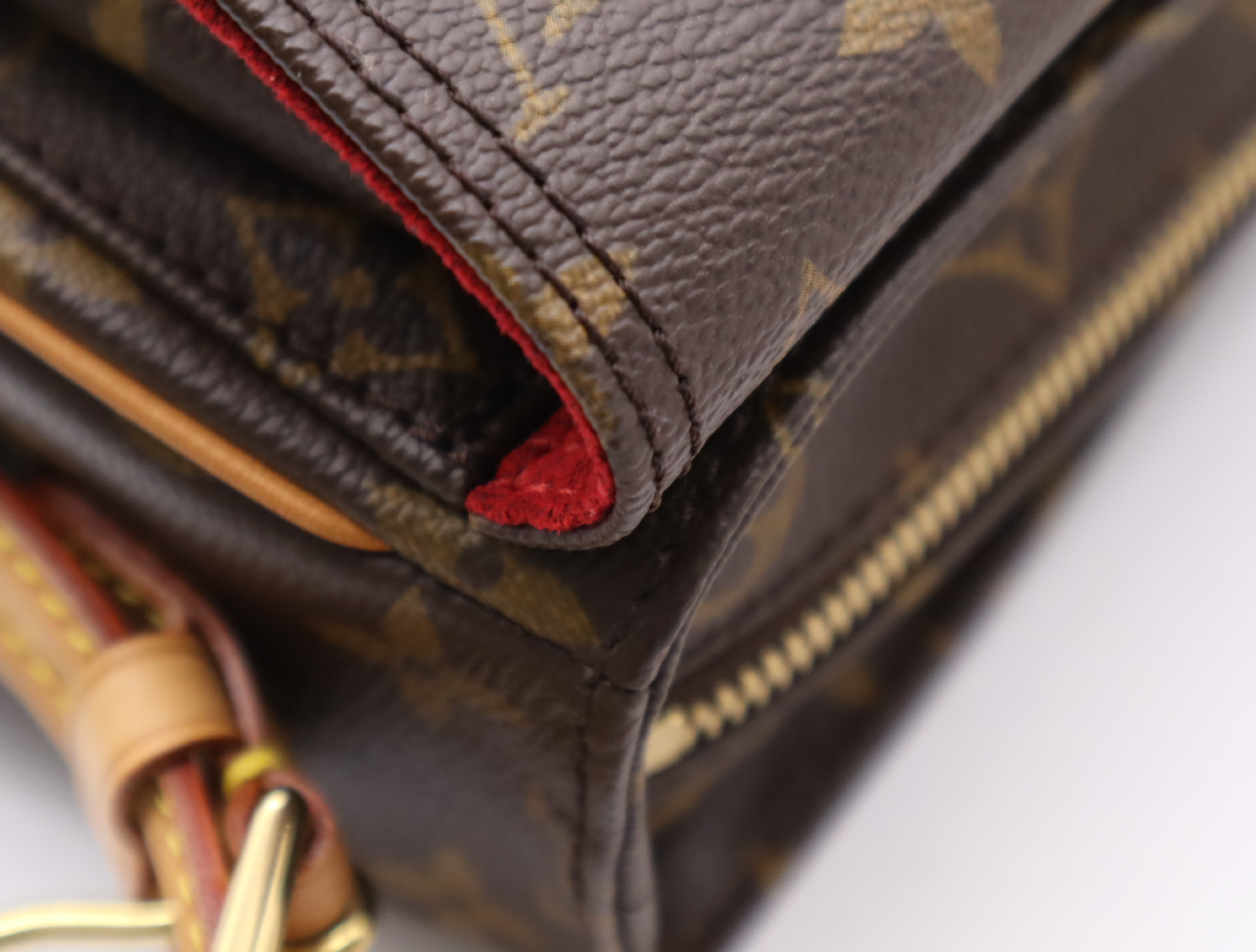 M51164 Monogram Viva Cite MM Handbag — view 9