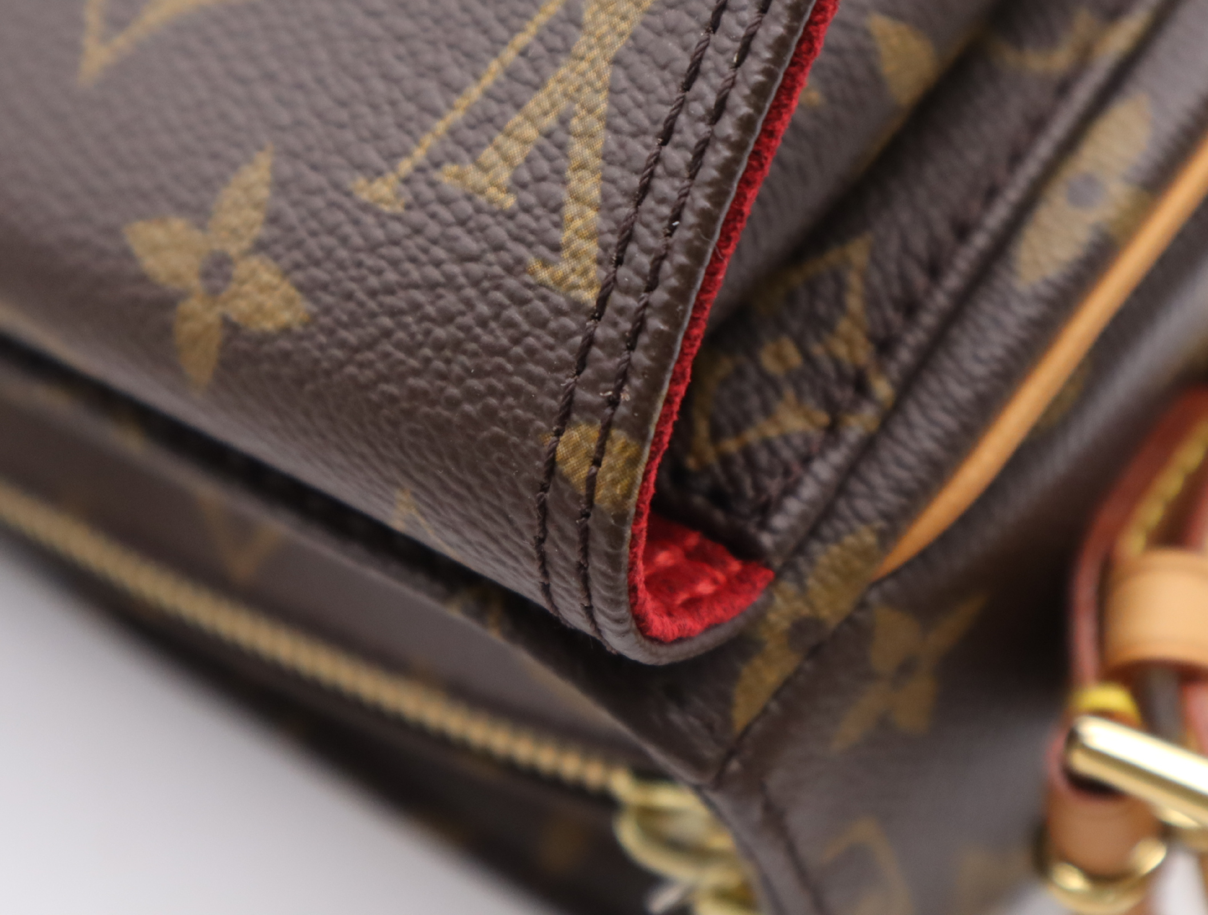 M51164 Monogram Viva Cite MM Handbag — view 10