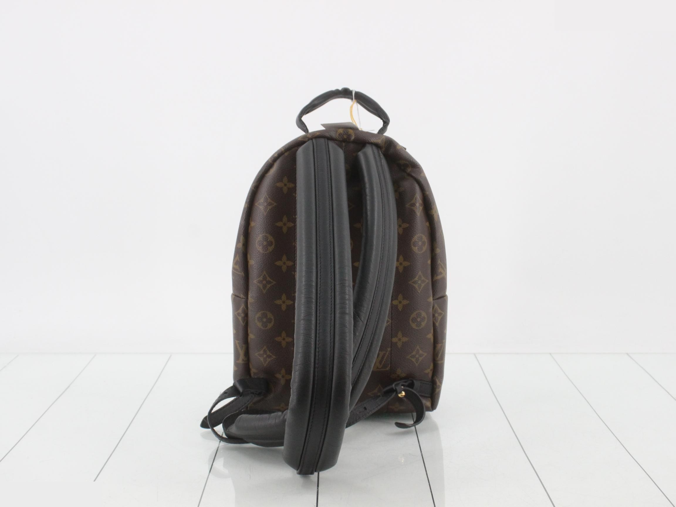 LV Monogram Palms Puffs Backpack PM — view 2