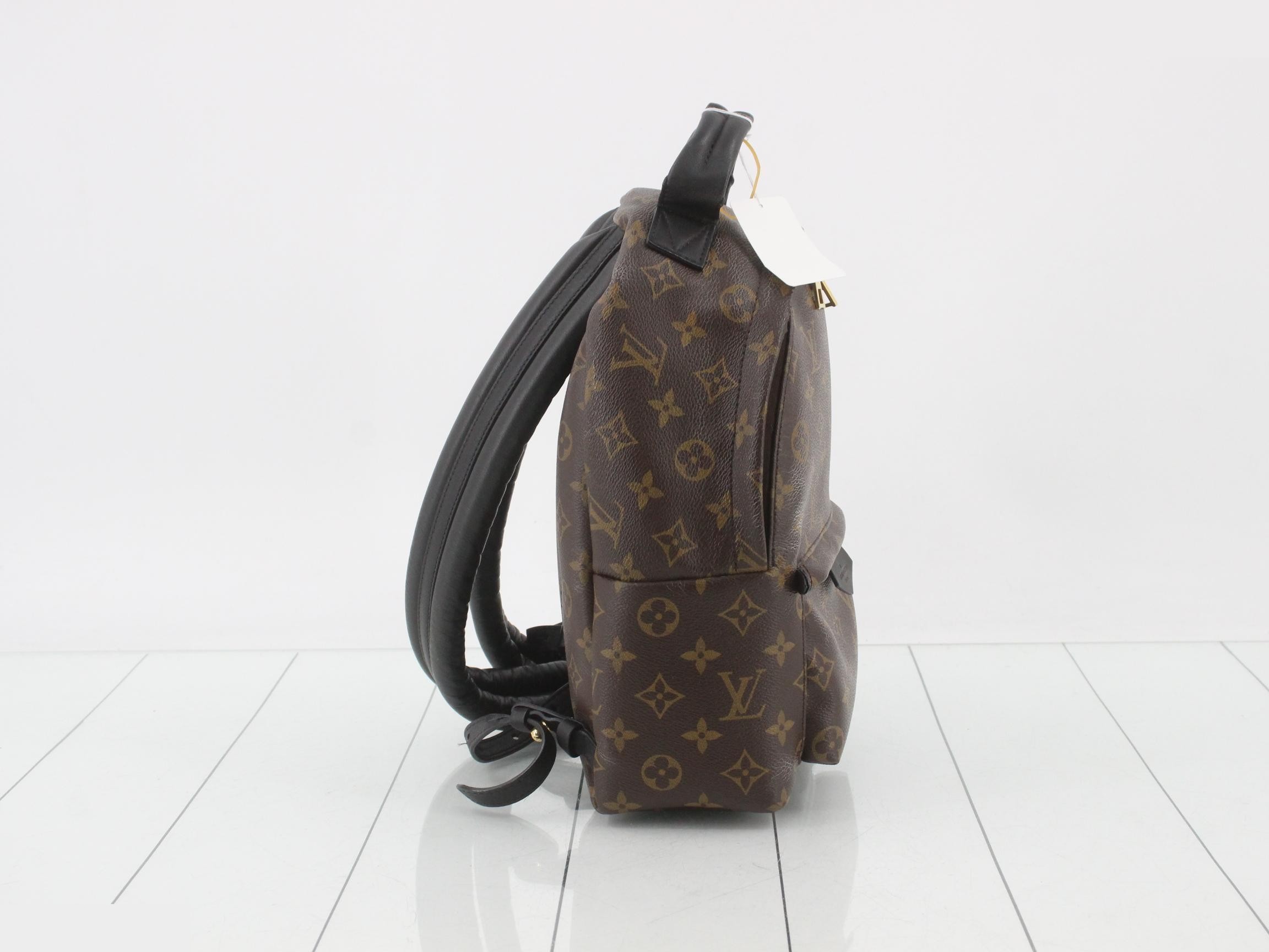 LV Monogram Palms Puffs Backpack PM — view 4