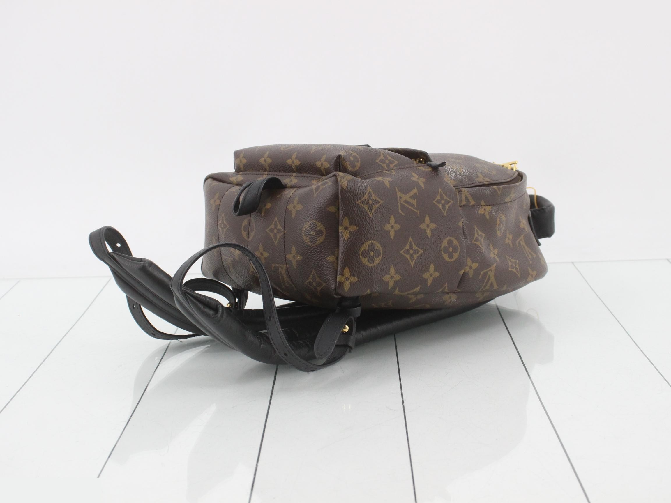 LV Monogram Palms Puffs Backpack PM — view 6