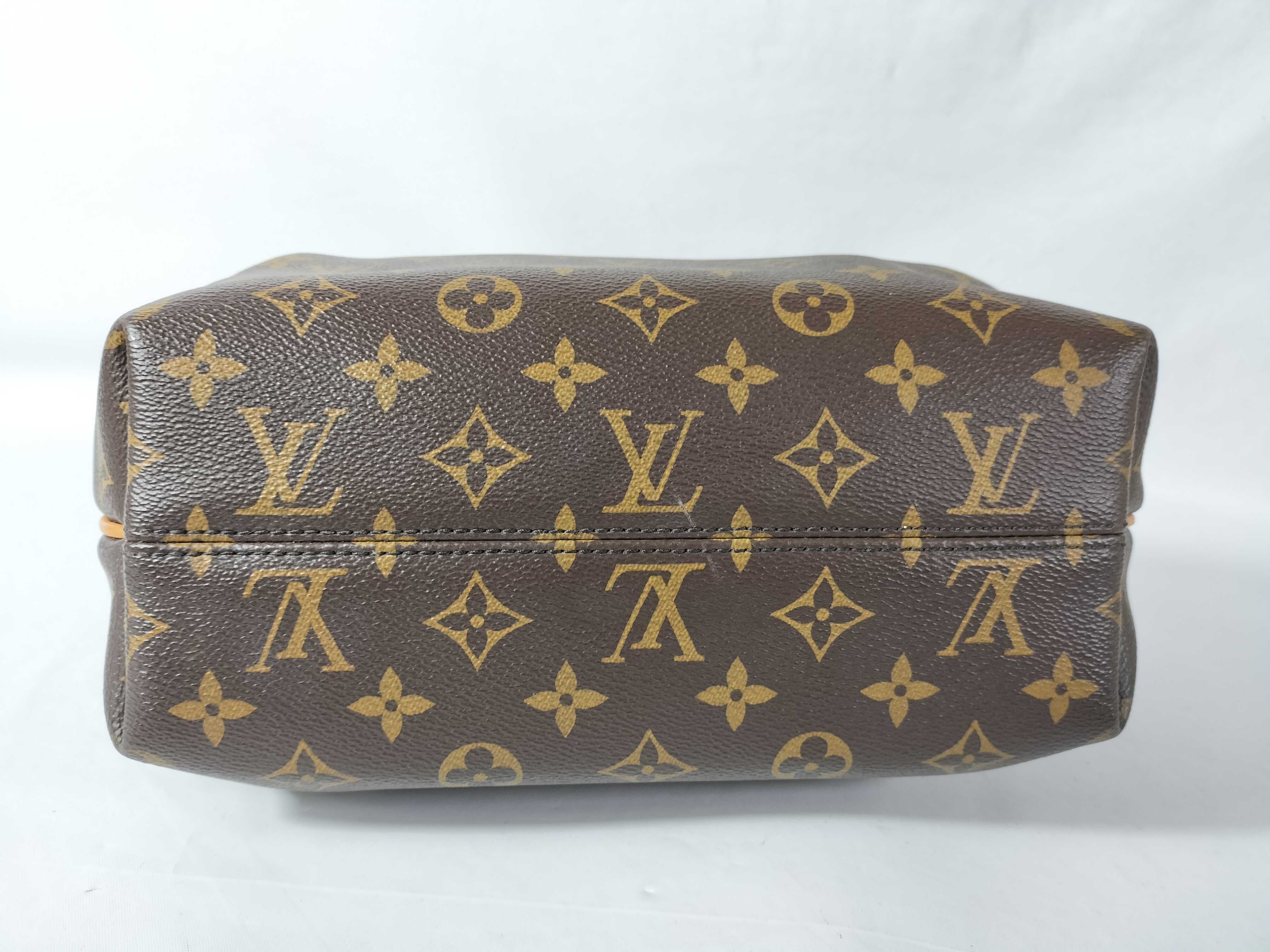 Monogram Bag M48813 TURENNE PM FL4155 Handbag — view 7