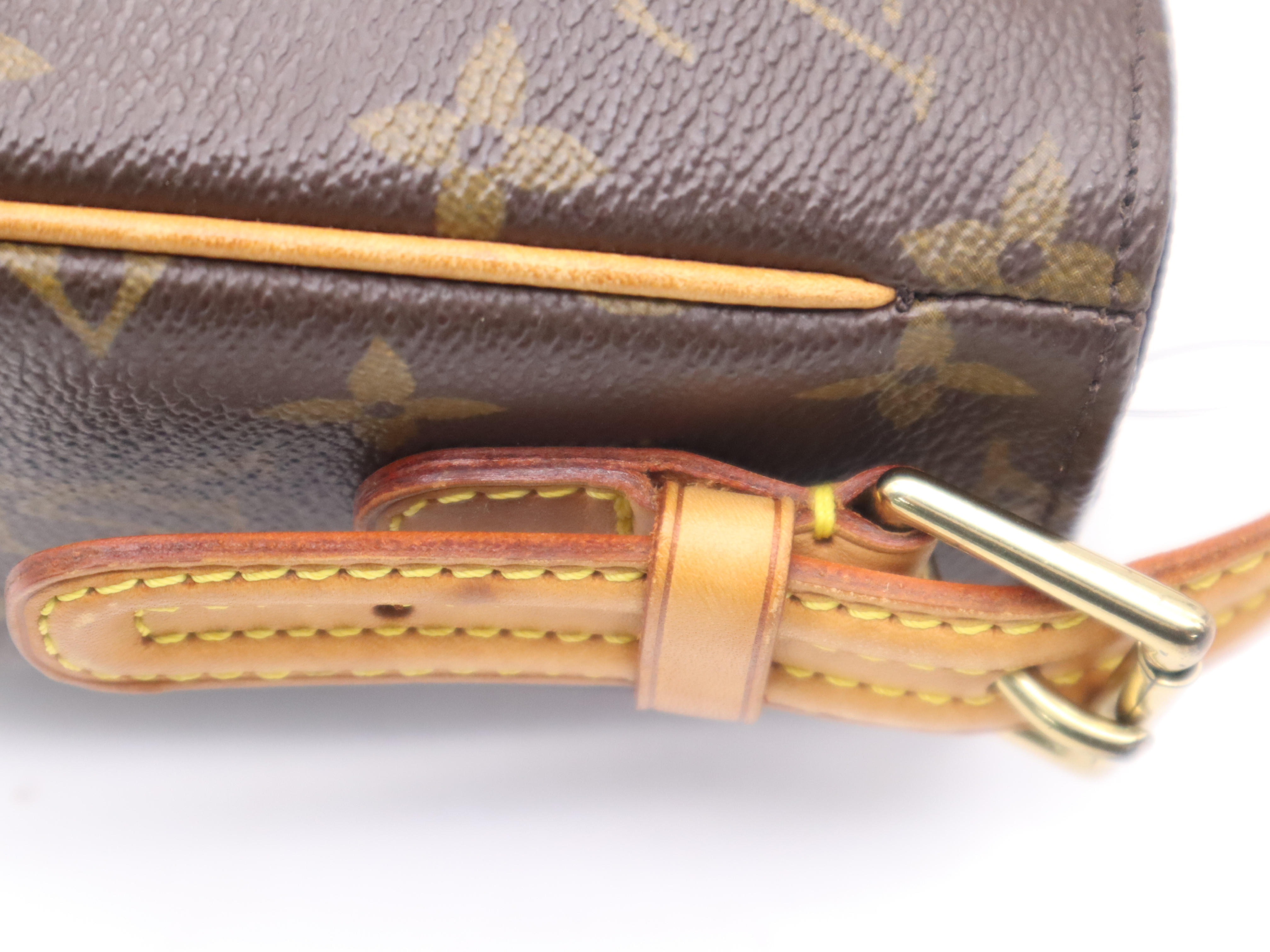 M51164 Monogram Viva Cite MM Handbag — view 7